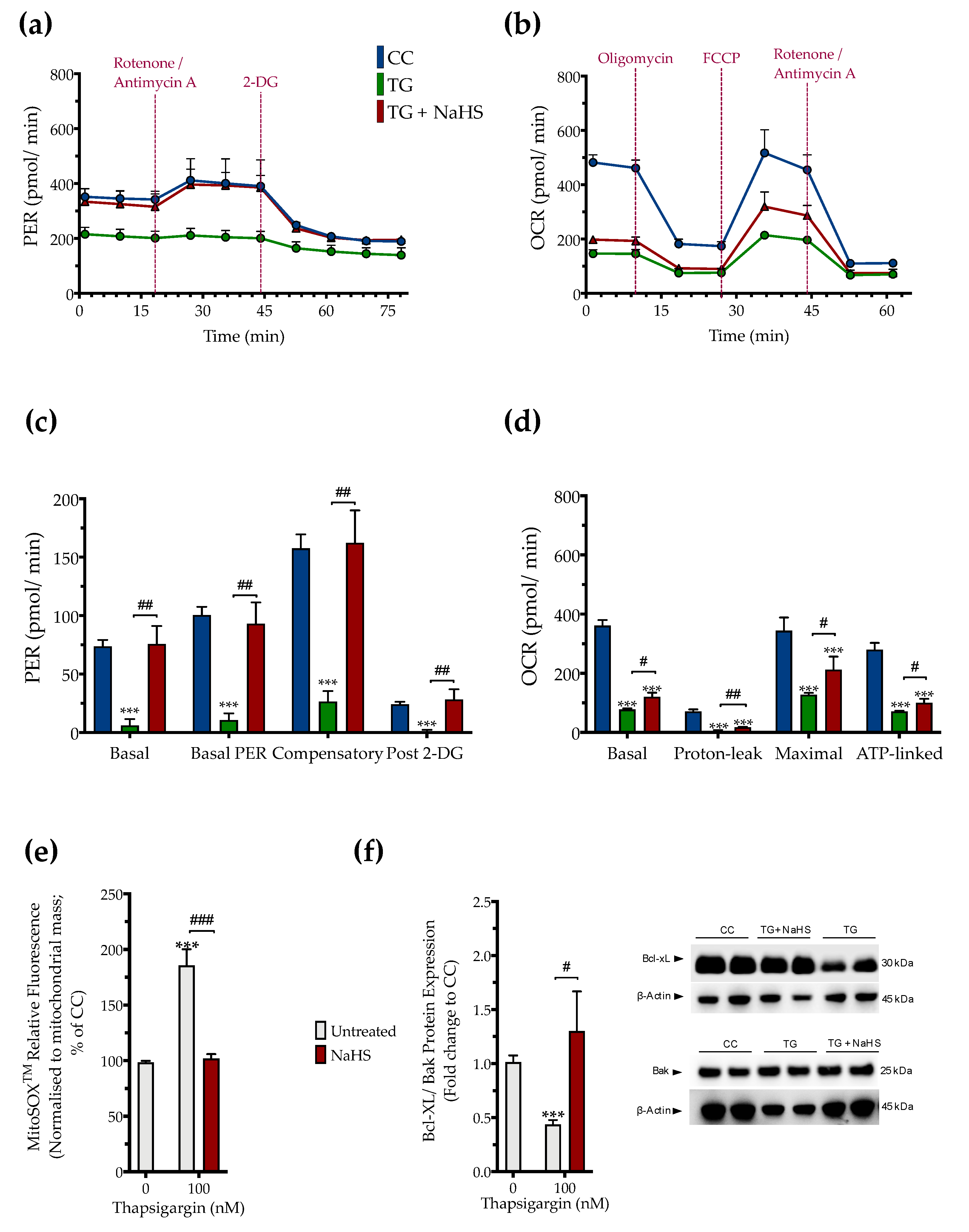 Biomolecules 10 01692 g006