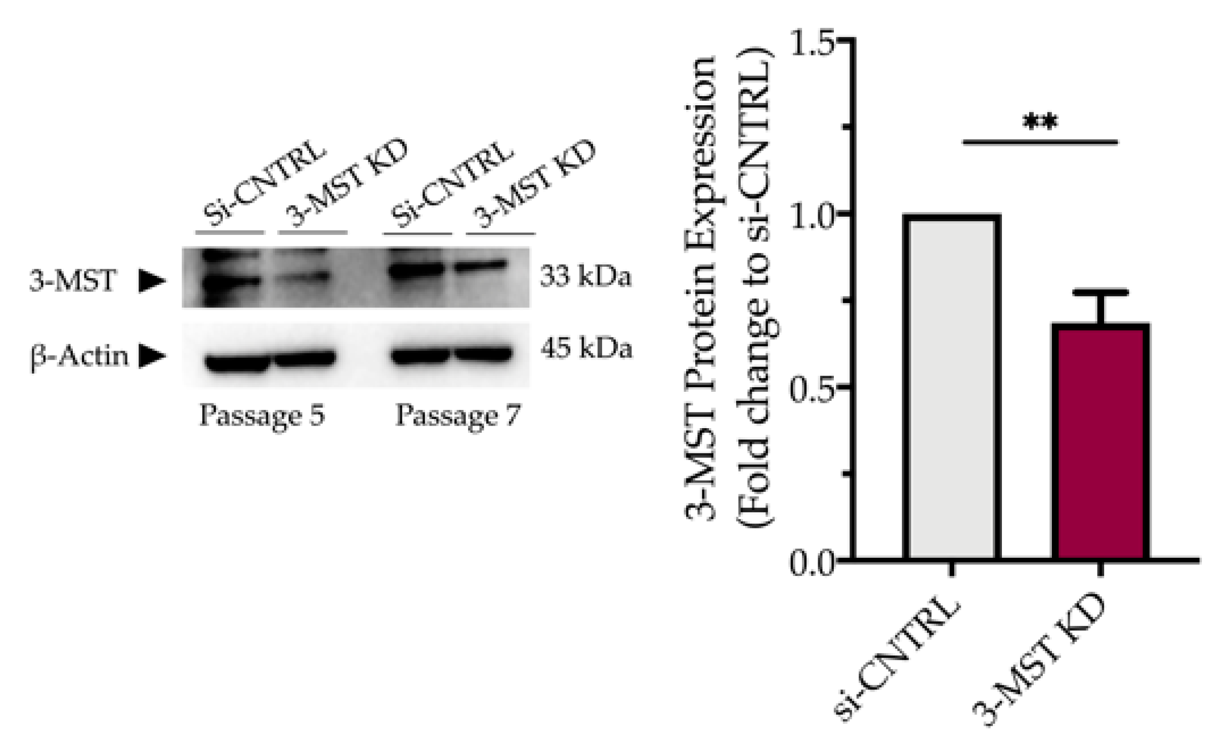 Biomolecules 10 01692 g008