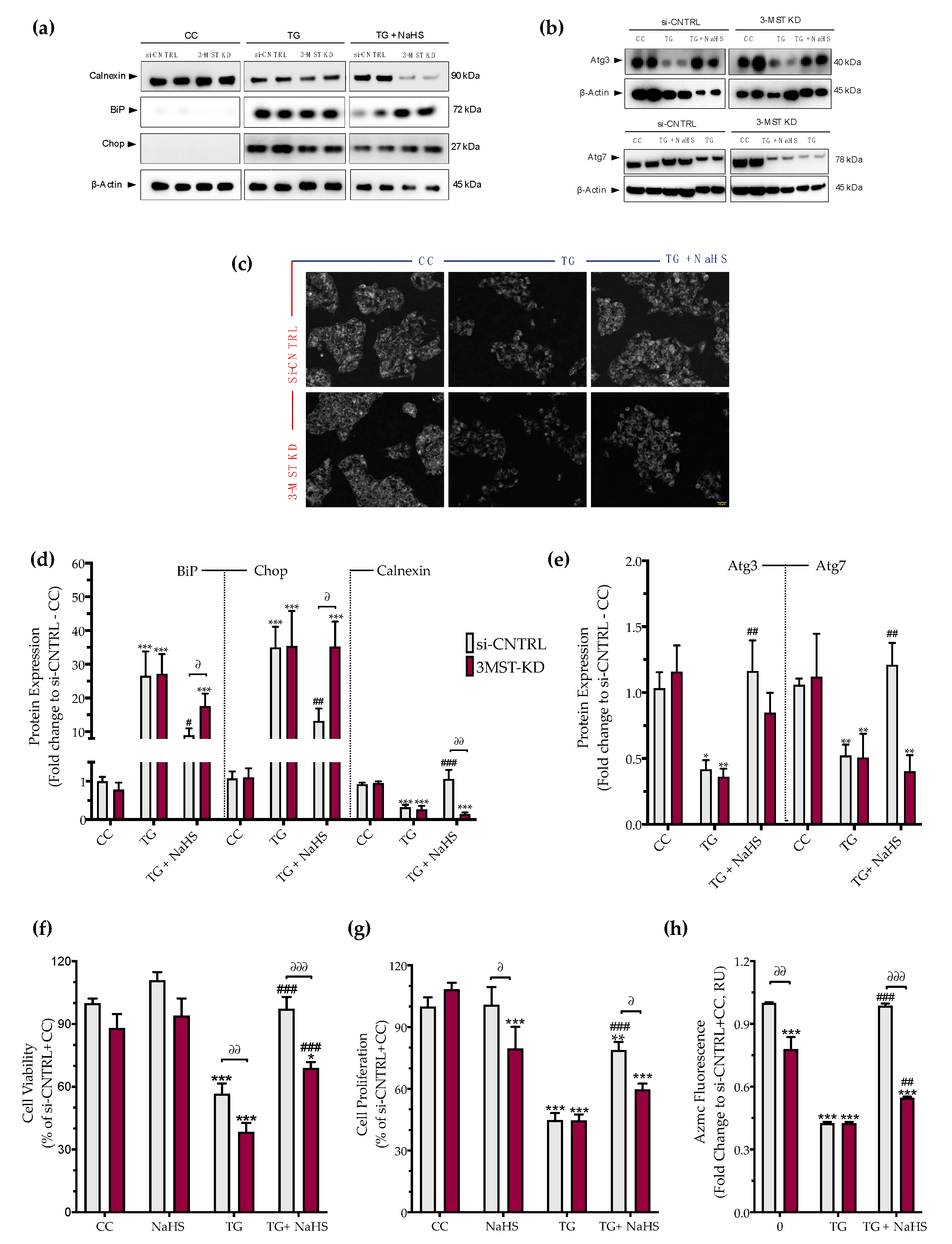 Biomolecules 10 01692 g009