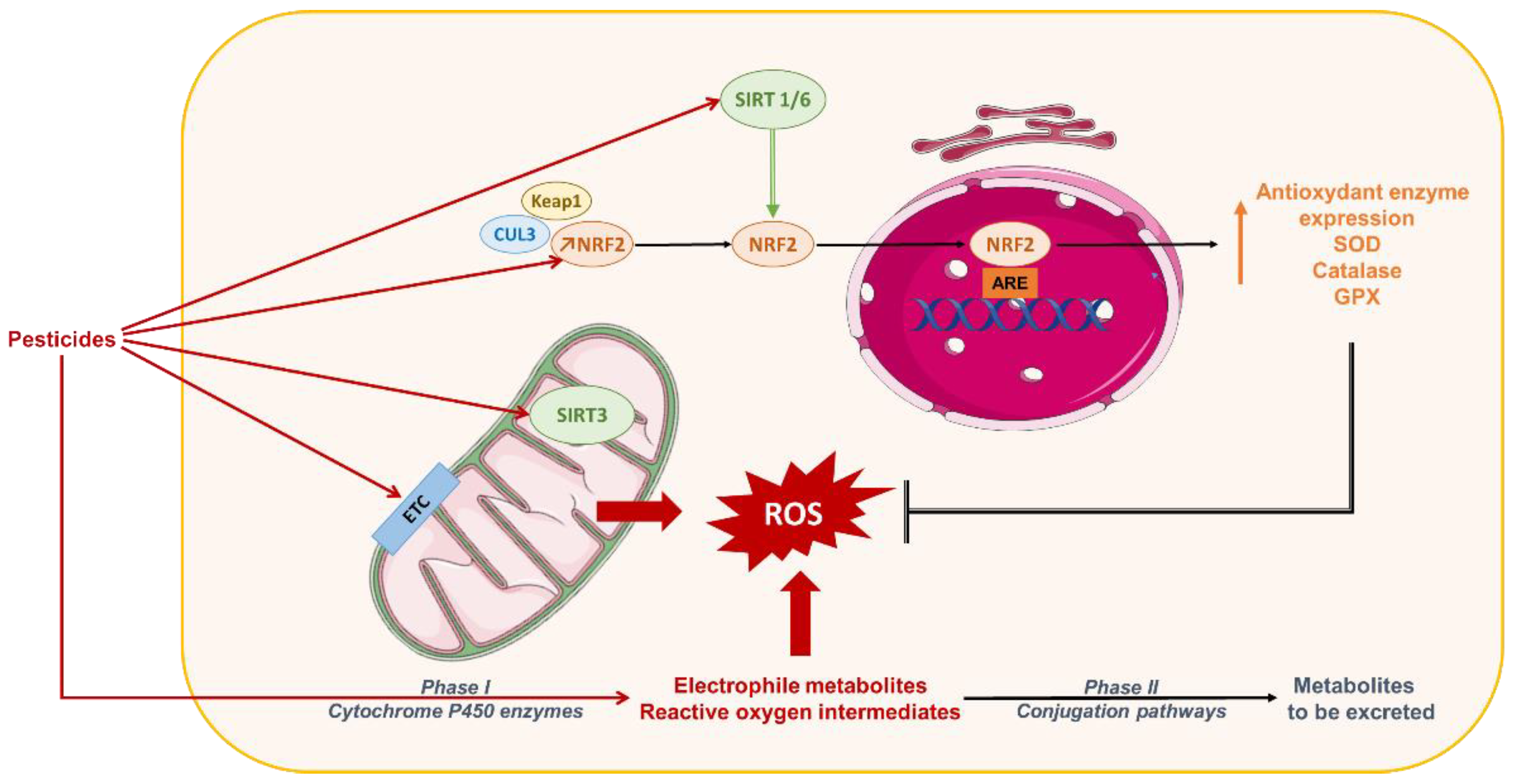 Biomolecules 10 01702 g008