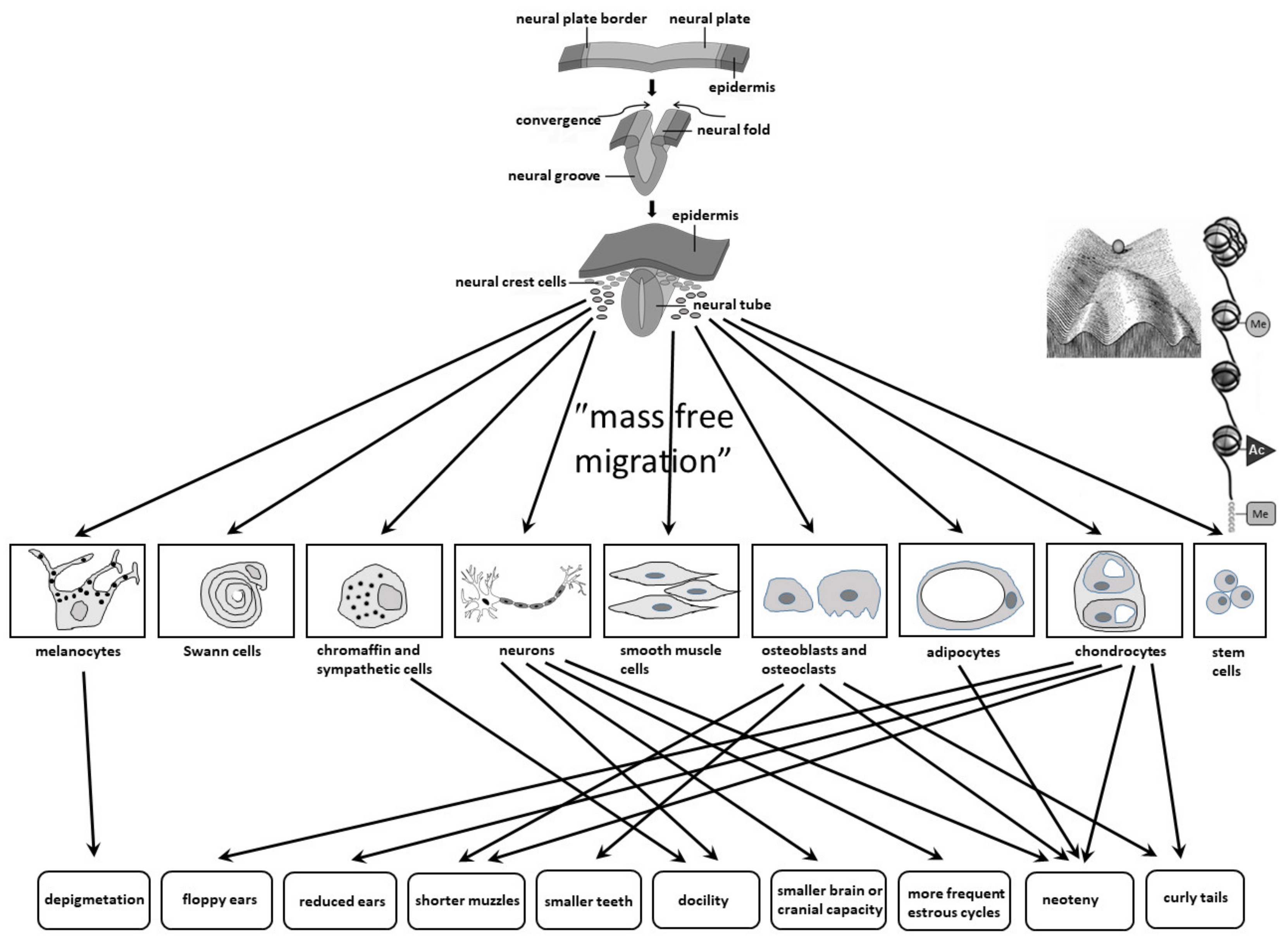 Biomolecules 11 00002 g001 Biomolecules 11 00002 g001