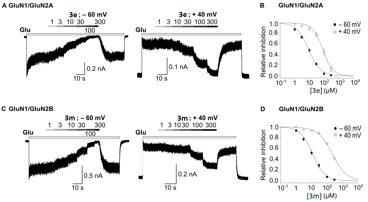 Biomolecules 11 00003 g006