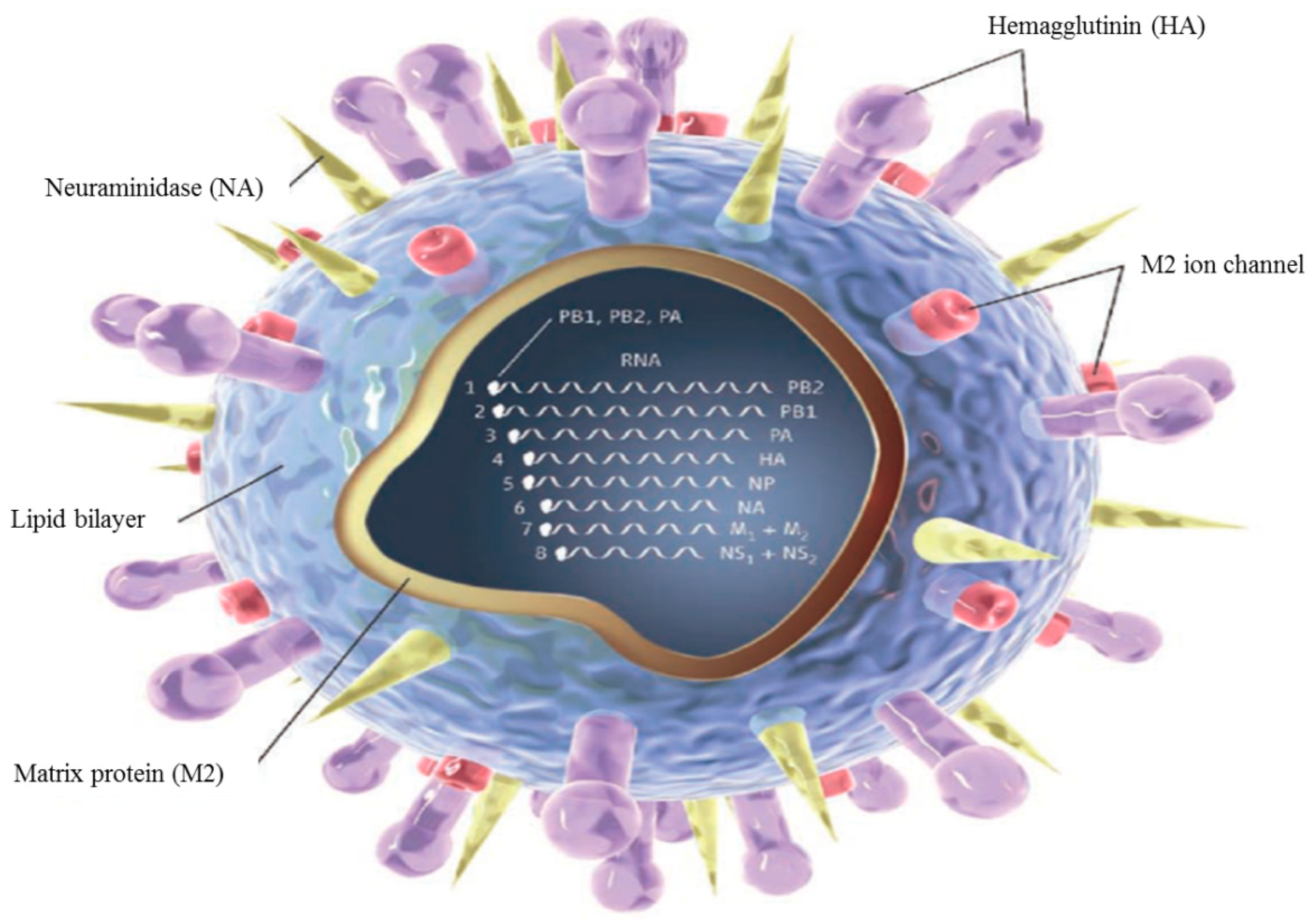 Biomolecules 11 00010 g001 Biomolecules 11 00010 g001