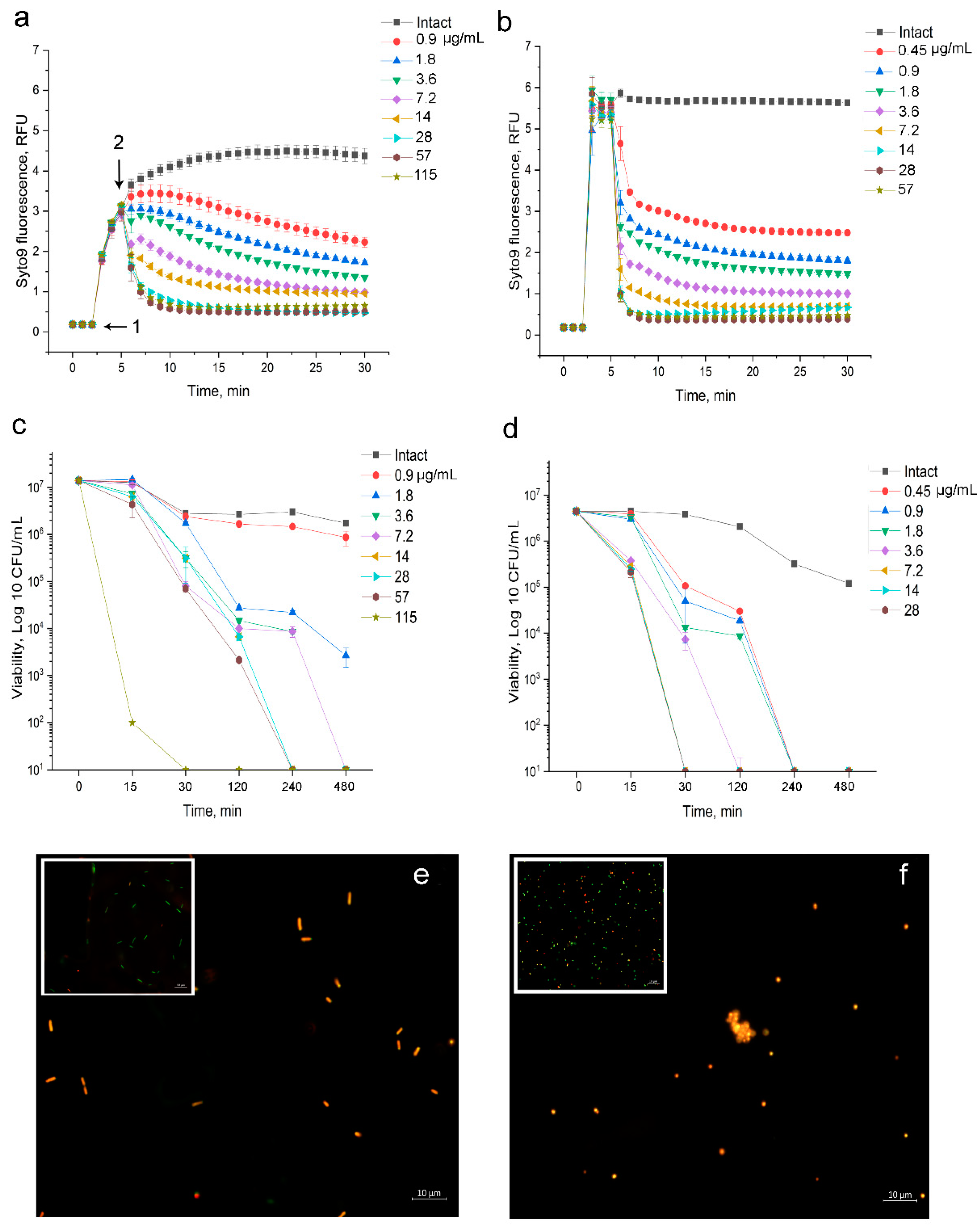 Biomolecules 11 00013 g002