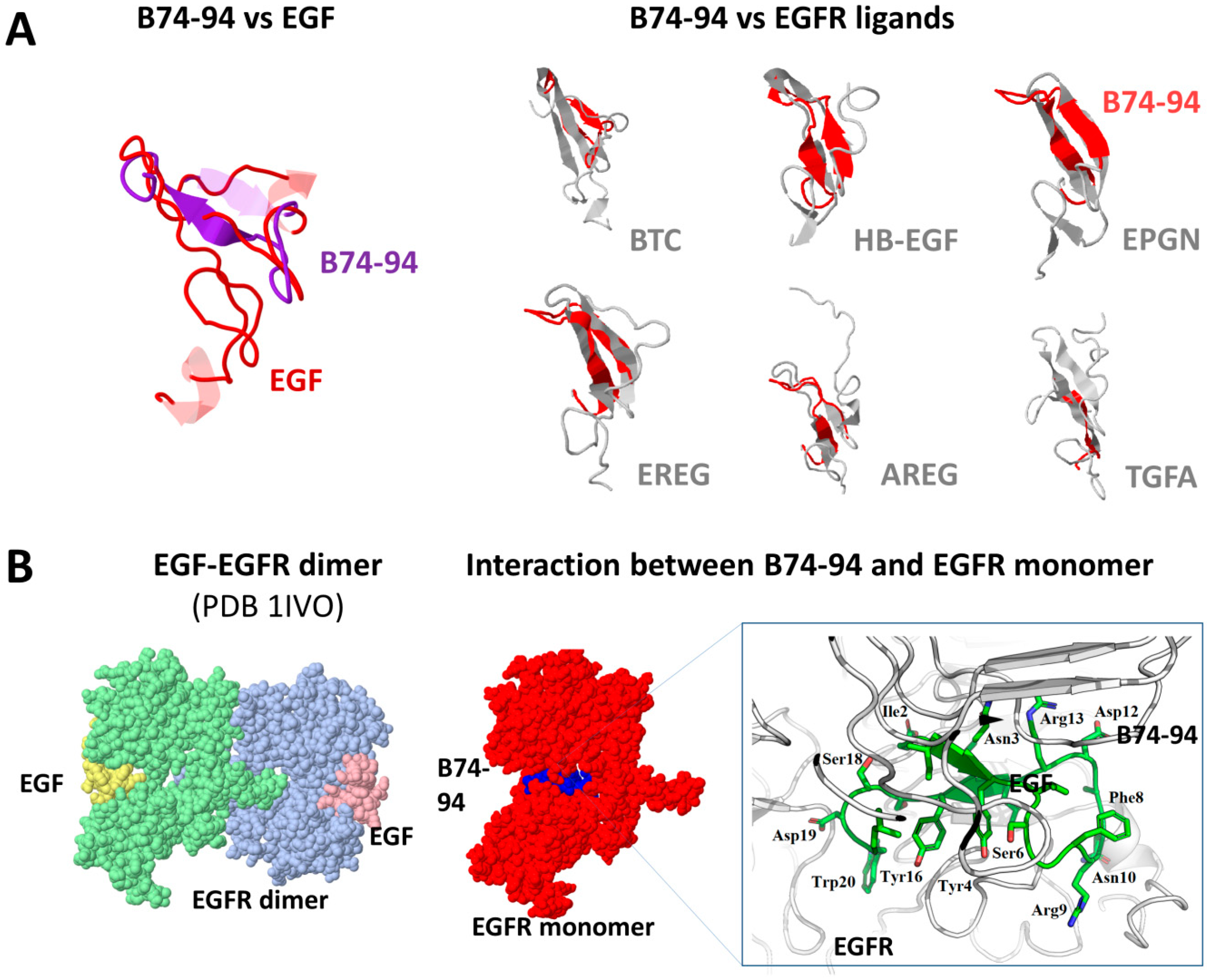 Biomolecules 11 00016 g004