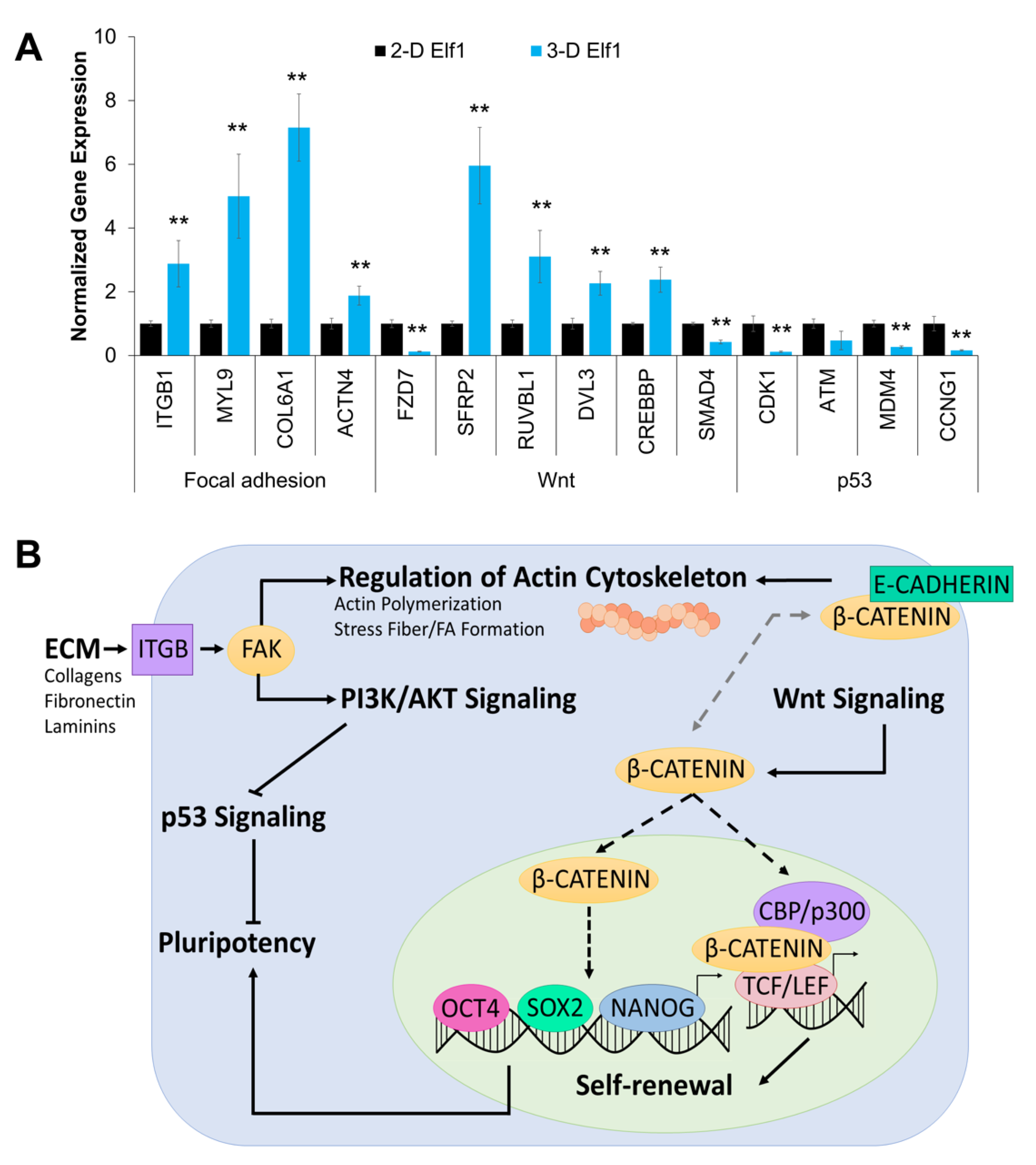 Biomolecules 11 00021 g007