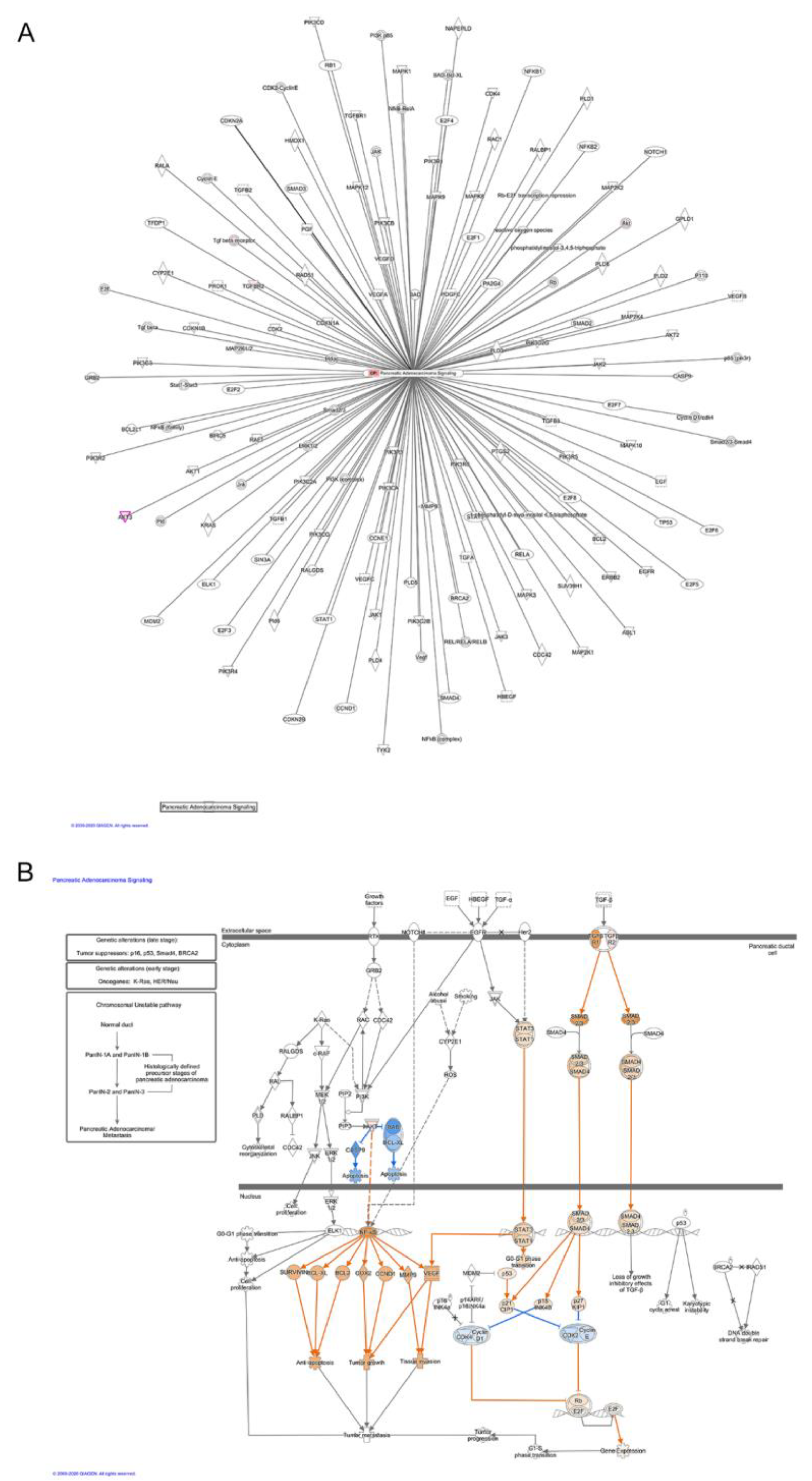 Biomolecules 11 00026 g003