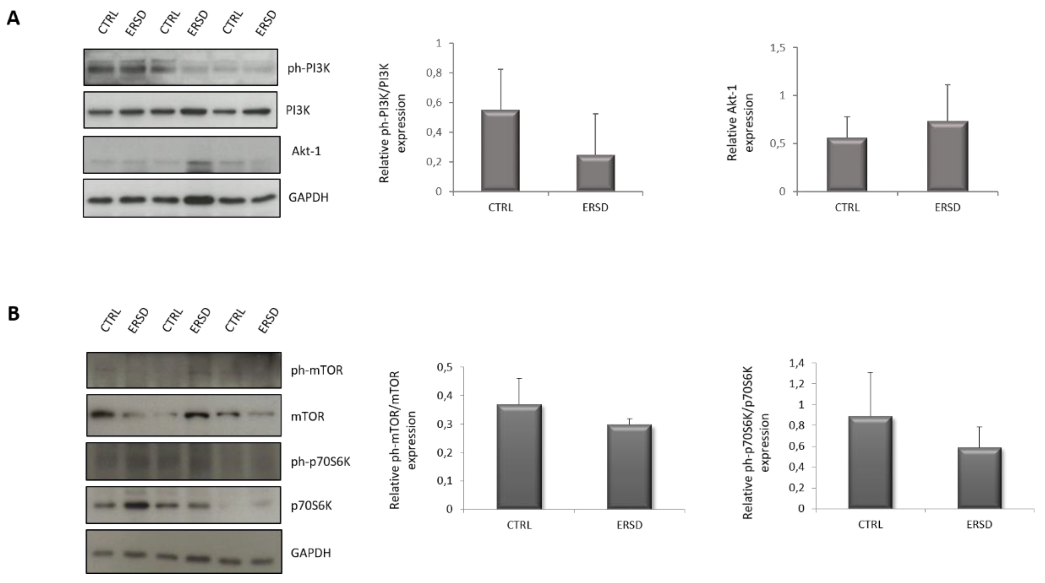 Biomolecules 11 00026 g004