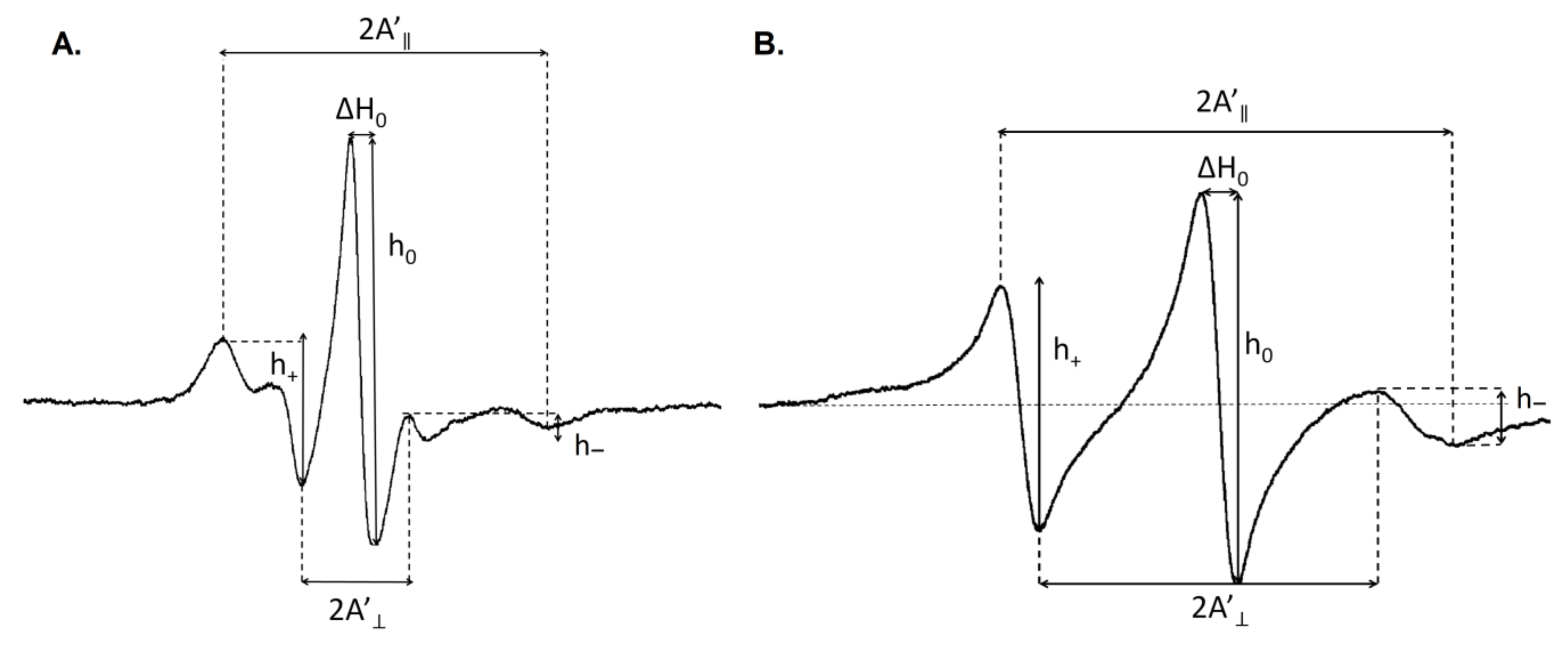 Biomolecules 11 00027 g001