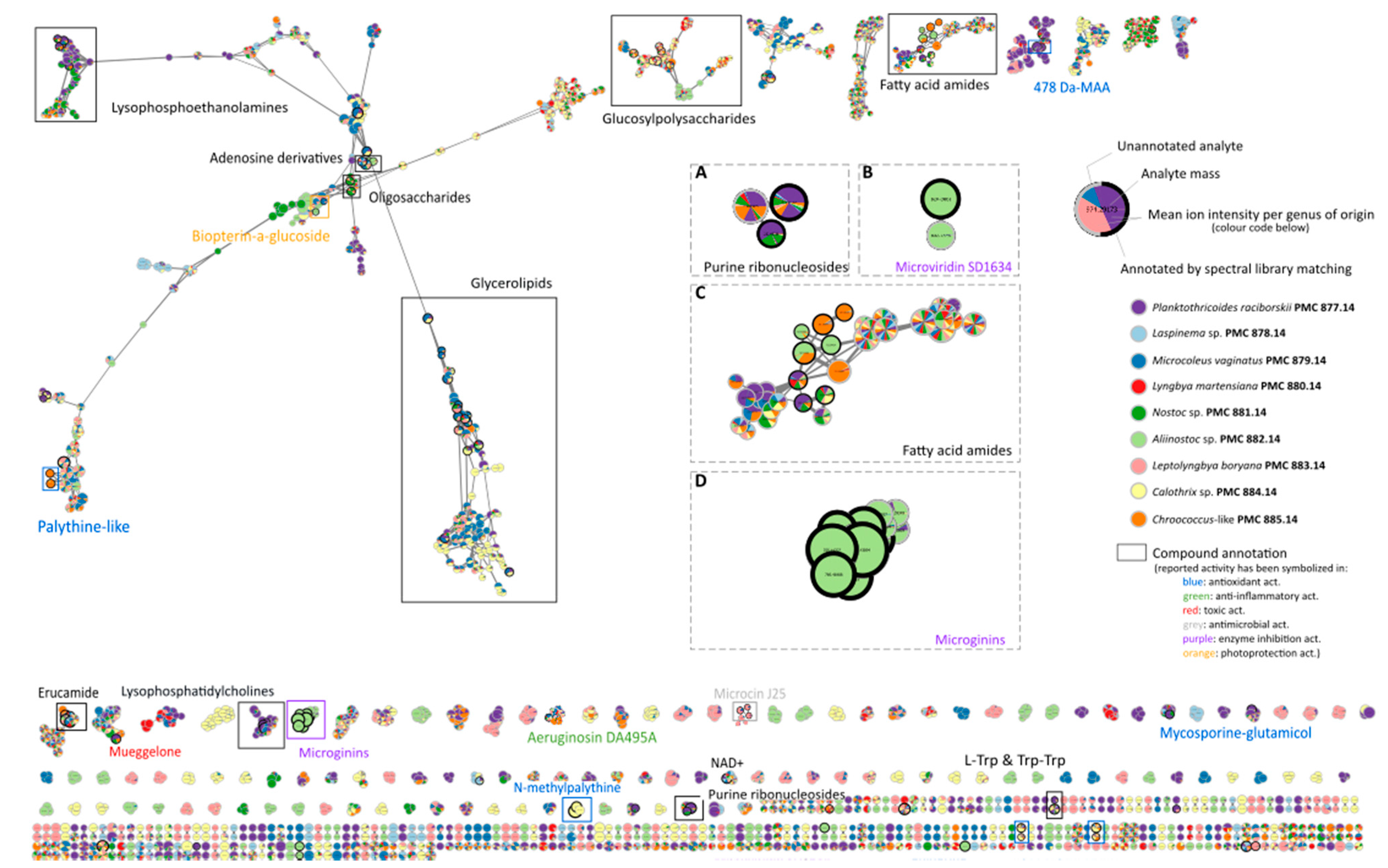 Biomolecules 11 00028 g001