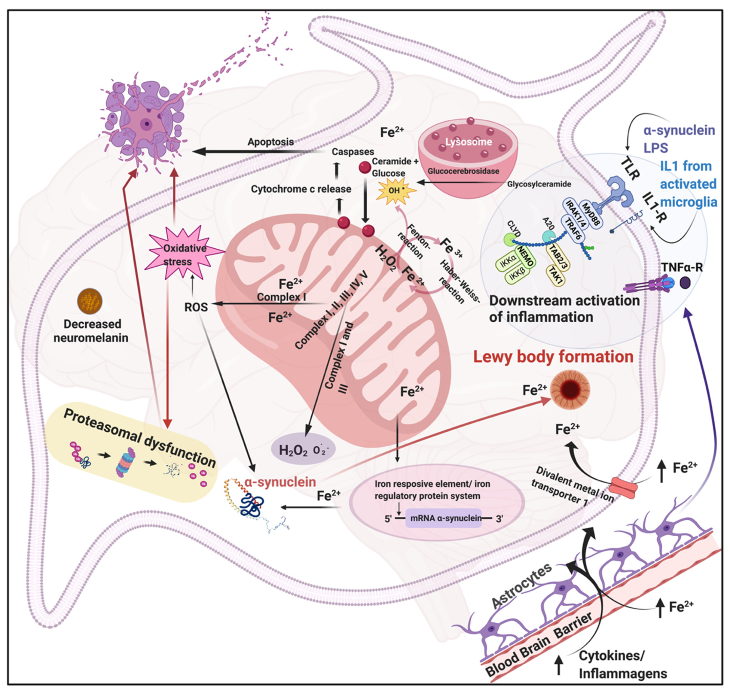 Biomolecules 11 00030 g002 Biomolecules 11 00030 g002
