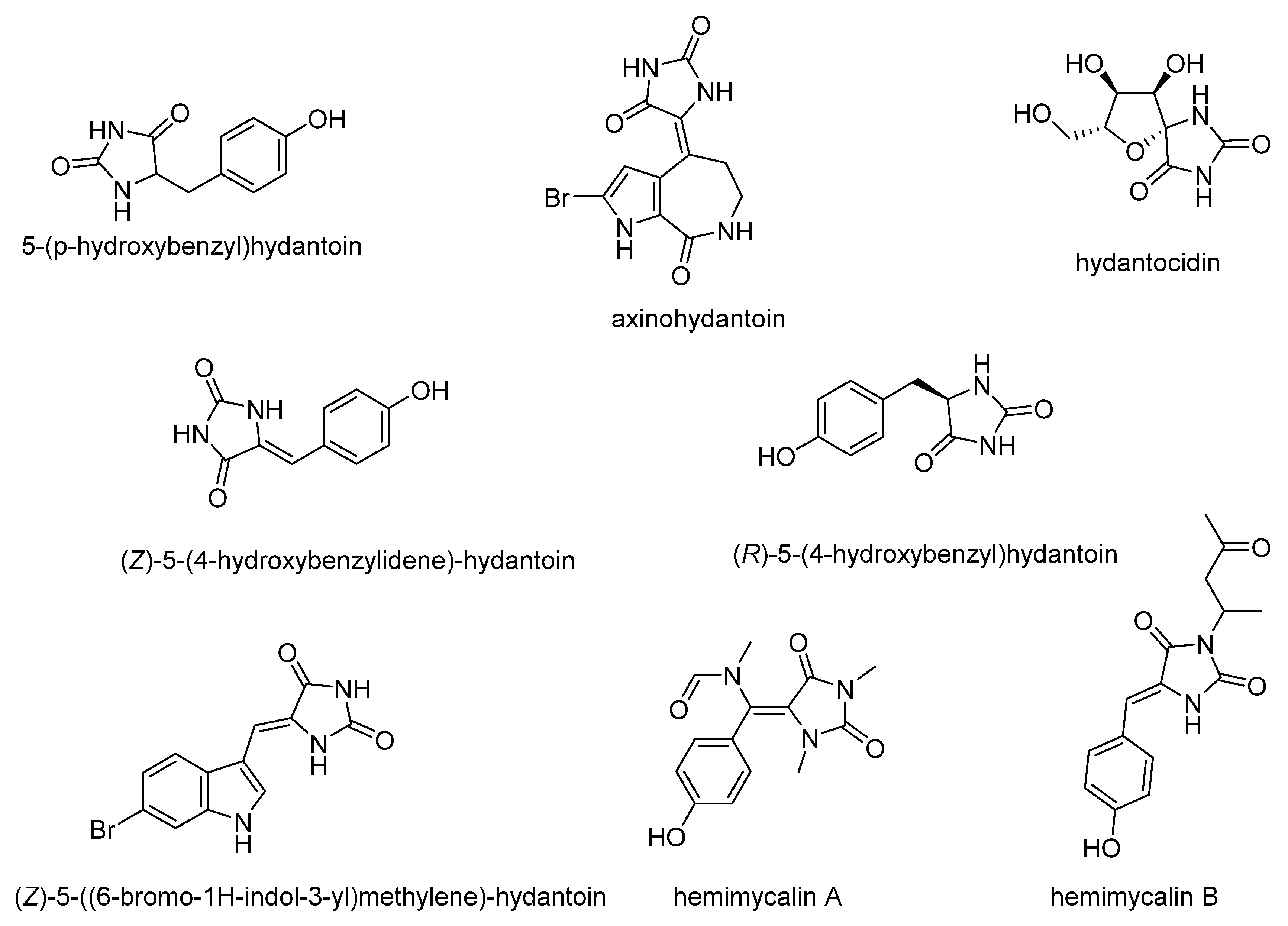 Biomolecules 11 00033 g001