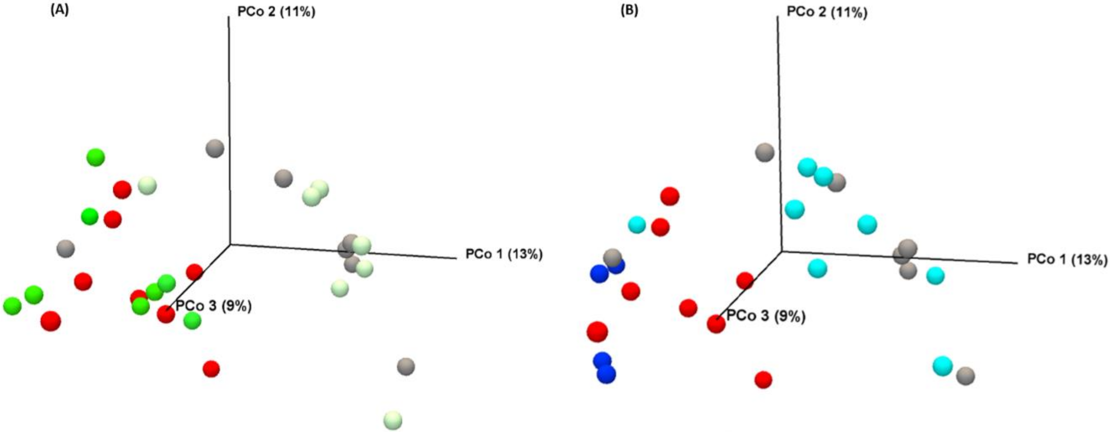 Biomolecules 11 00034 g006 Biomolecules 11 00034 g006