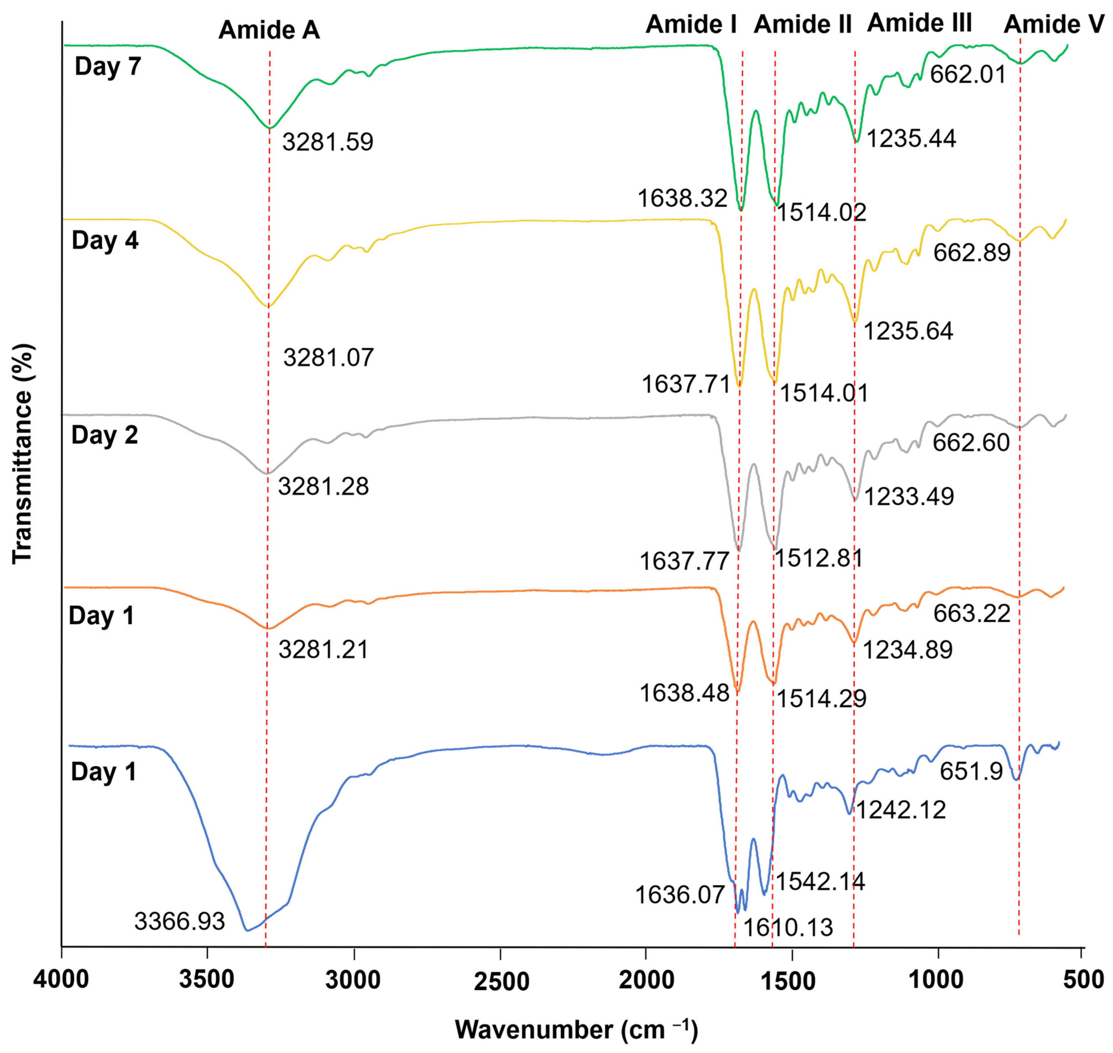 Biomolecules 11 00035 g003 Biomolecules 11 00035 g003