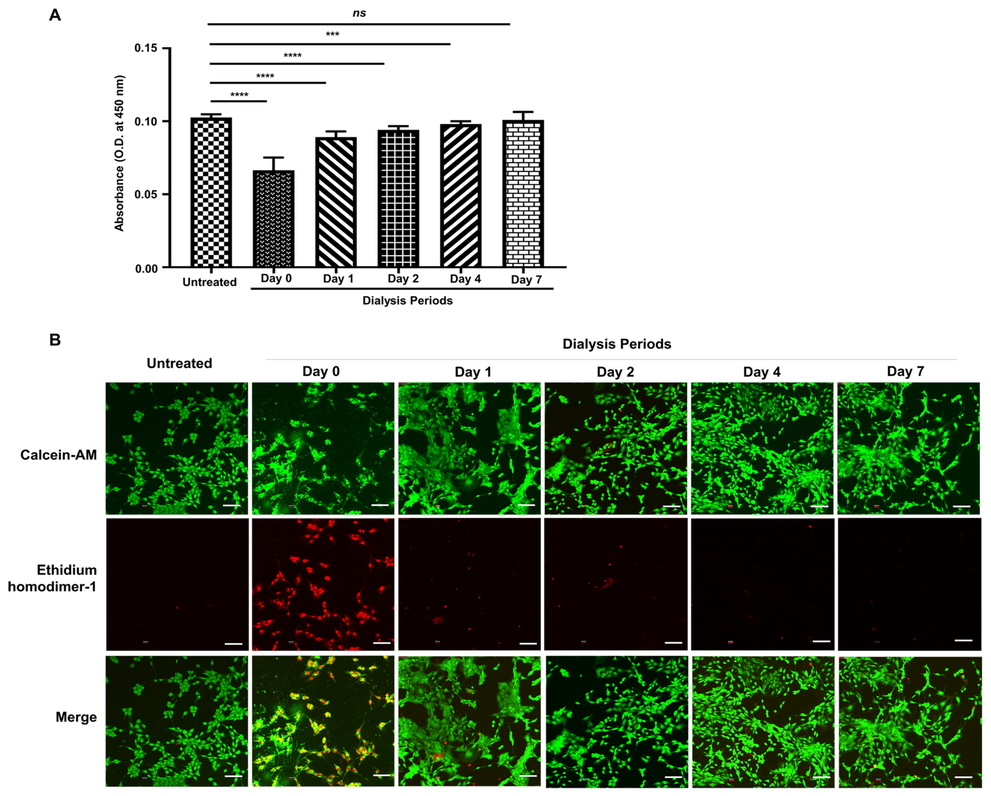 Biomolecules 11 00035 g006 Biomolecules 11 00035 g006