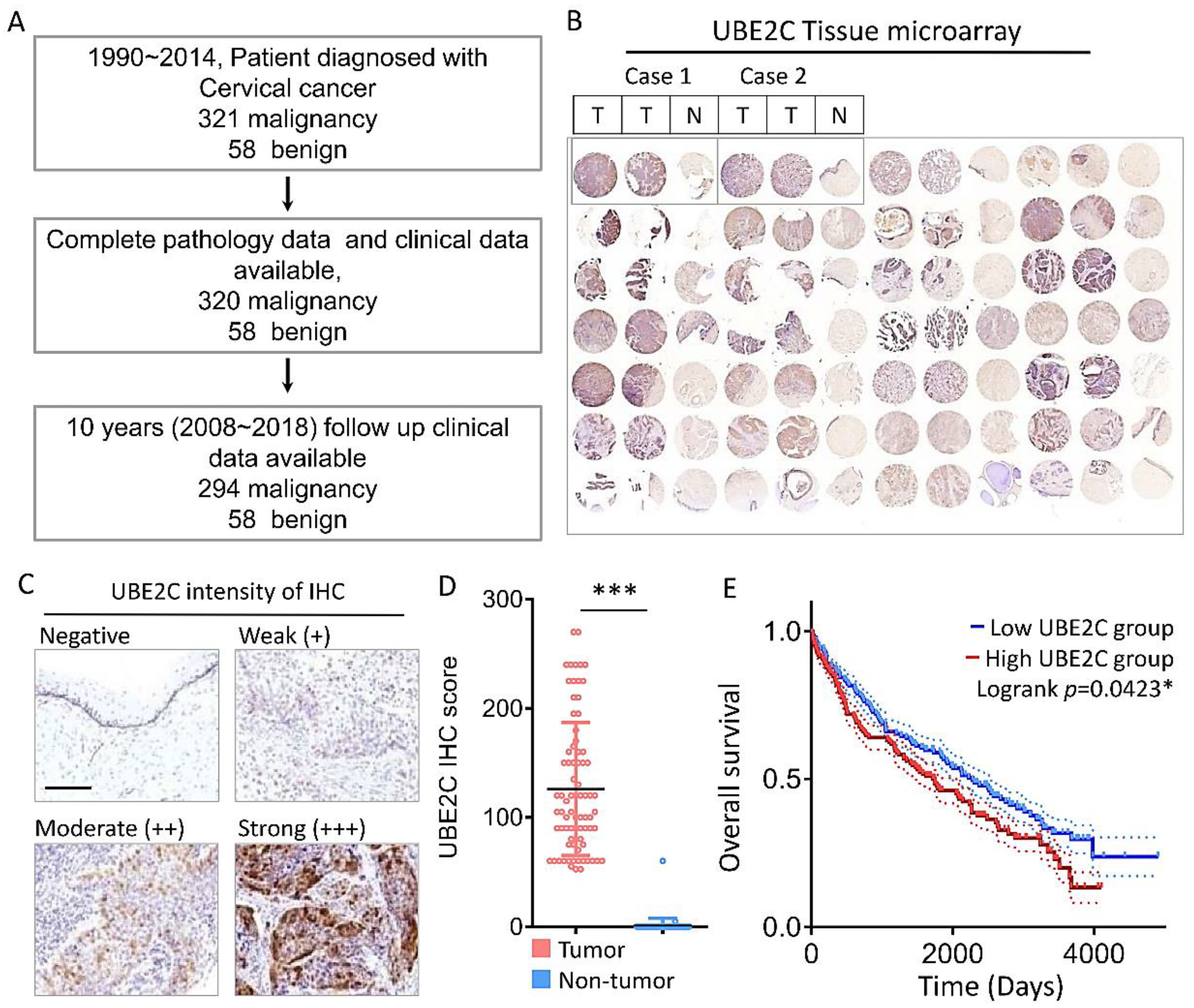 Biomolecules 11 00037 g002