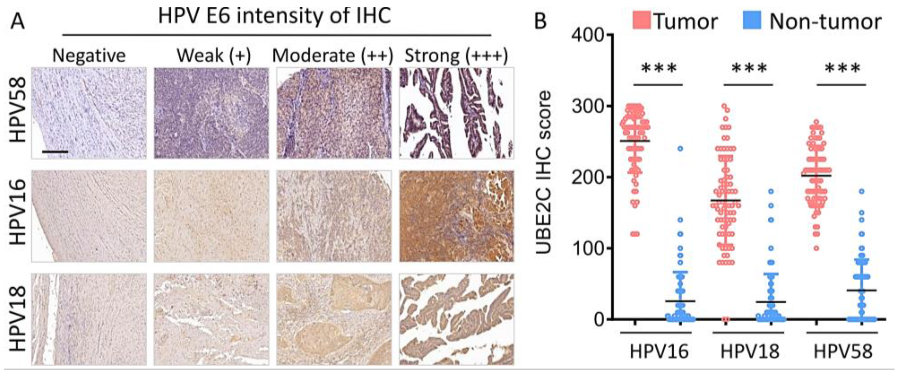 Biomolecules 11 00037 g003