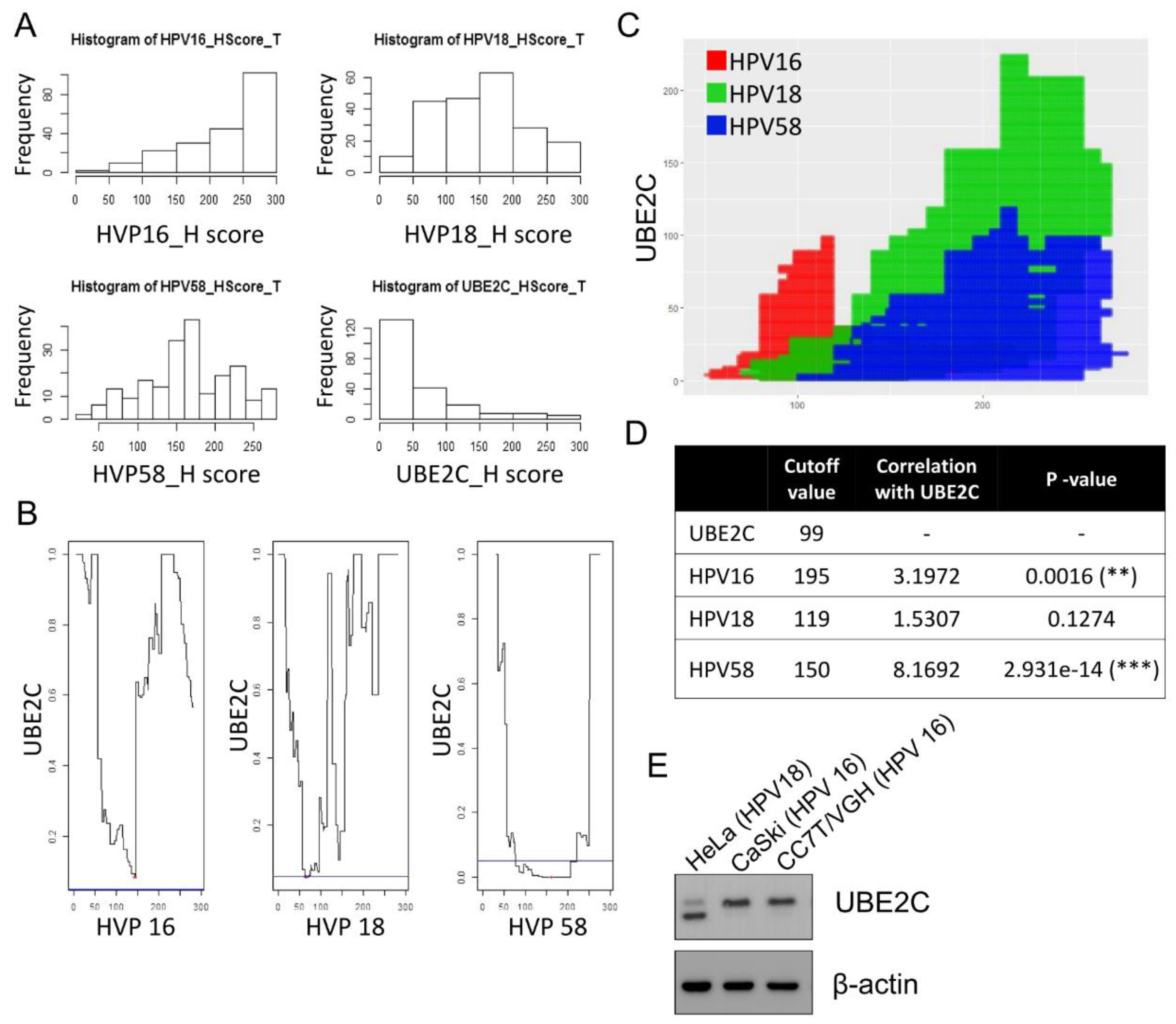 Biomolecules 11 00037 g004