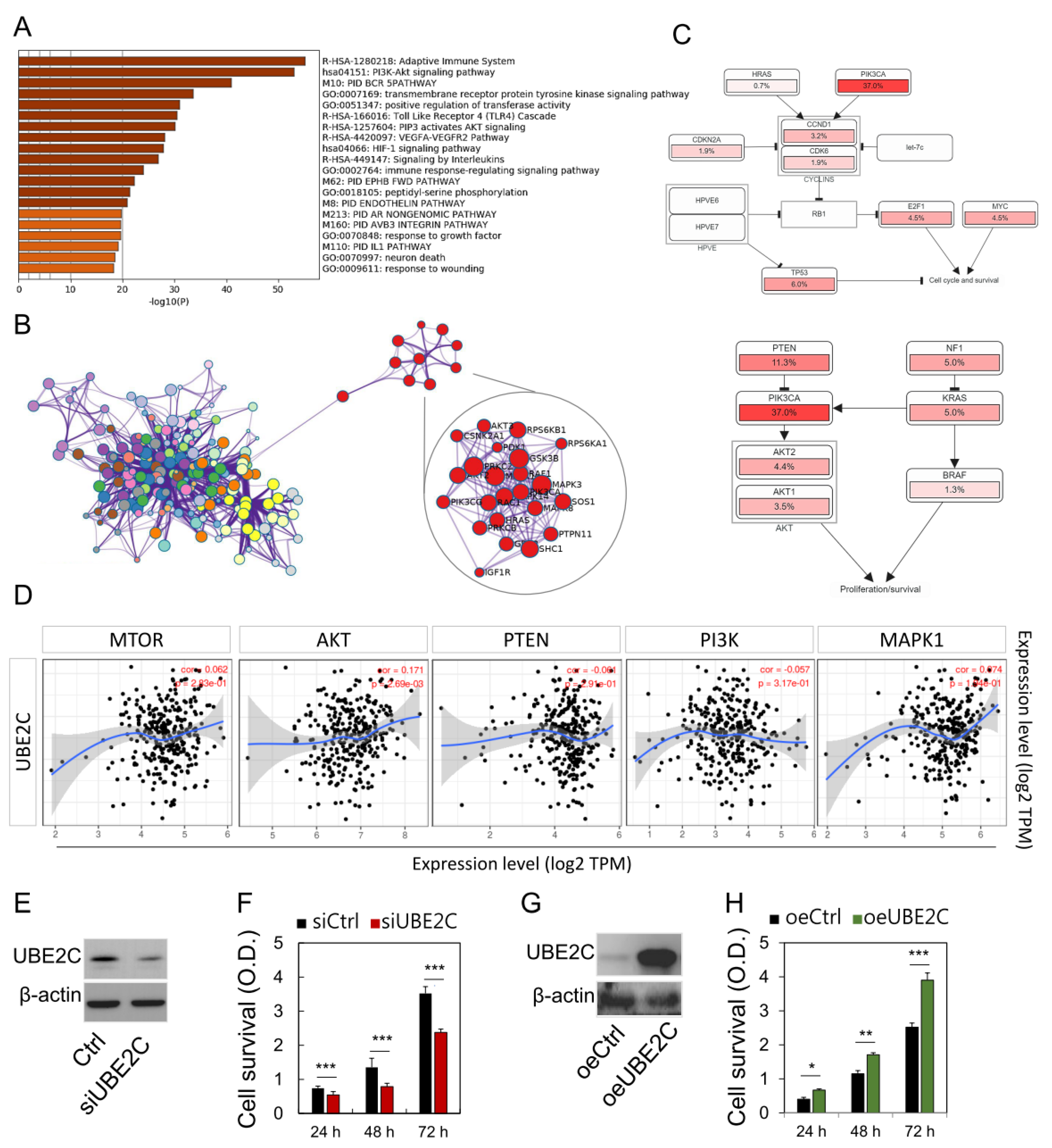 Biomolecules 11 00037 g005