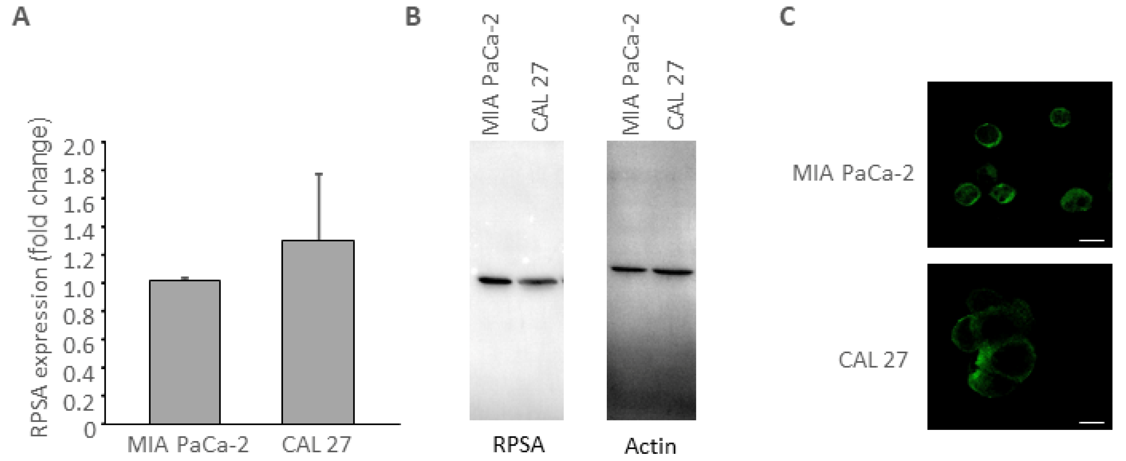 Biomolecules 11 00039 g001
