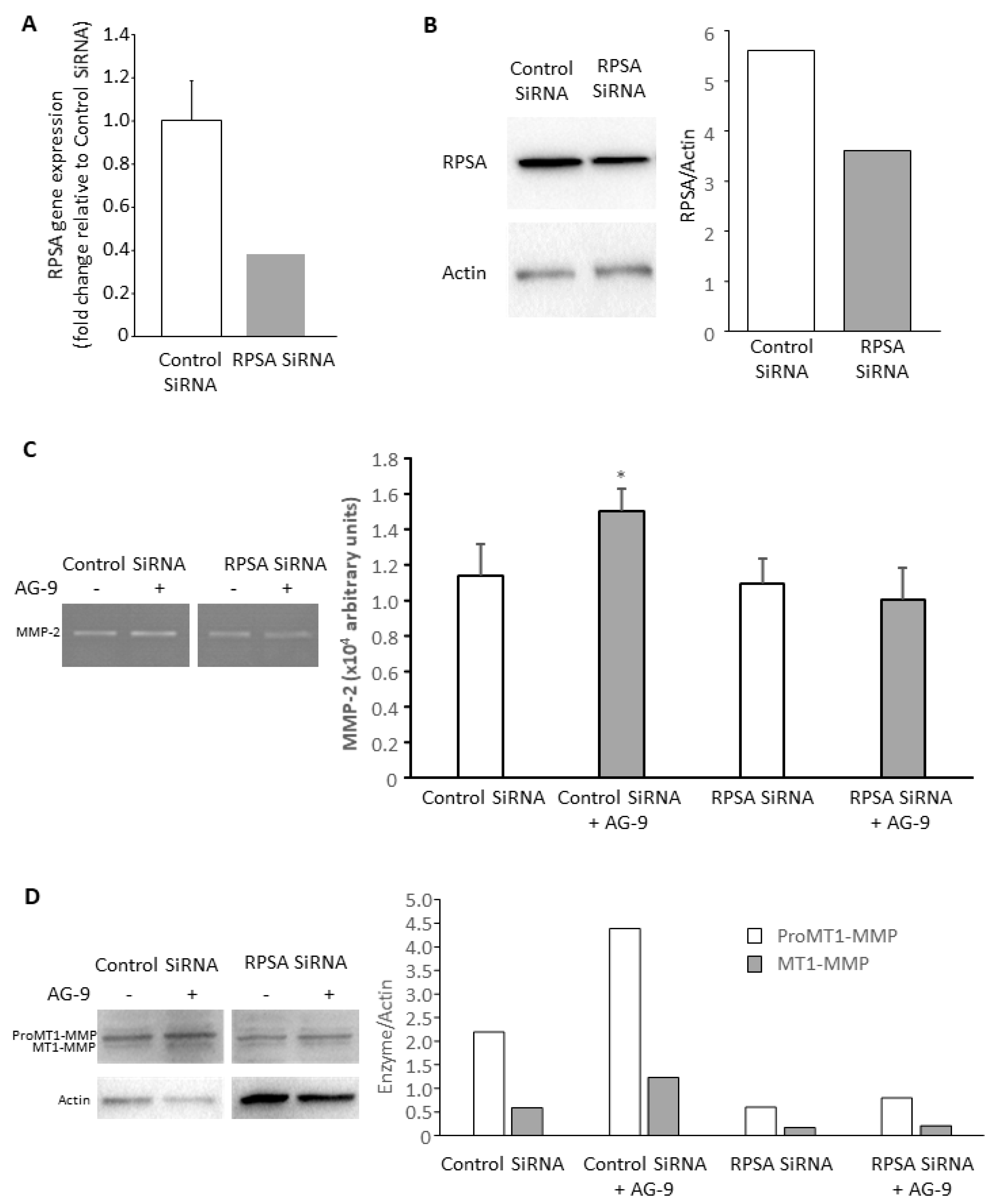Biomolecules 11 00039 g003
