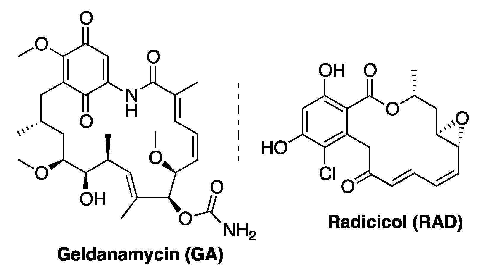 Biomolecules 11 00056 g002 Biomolecules 11 00056 g002