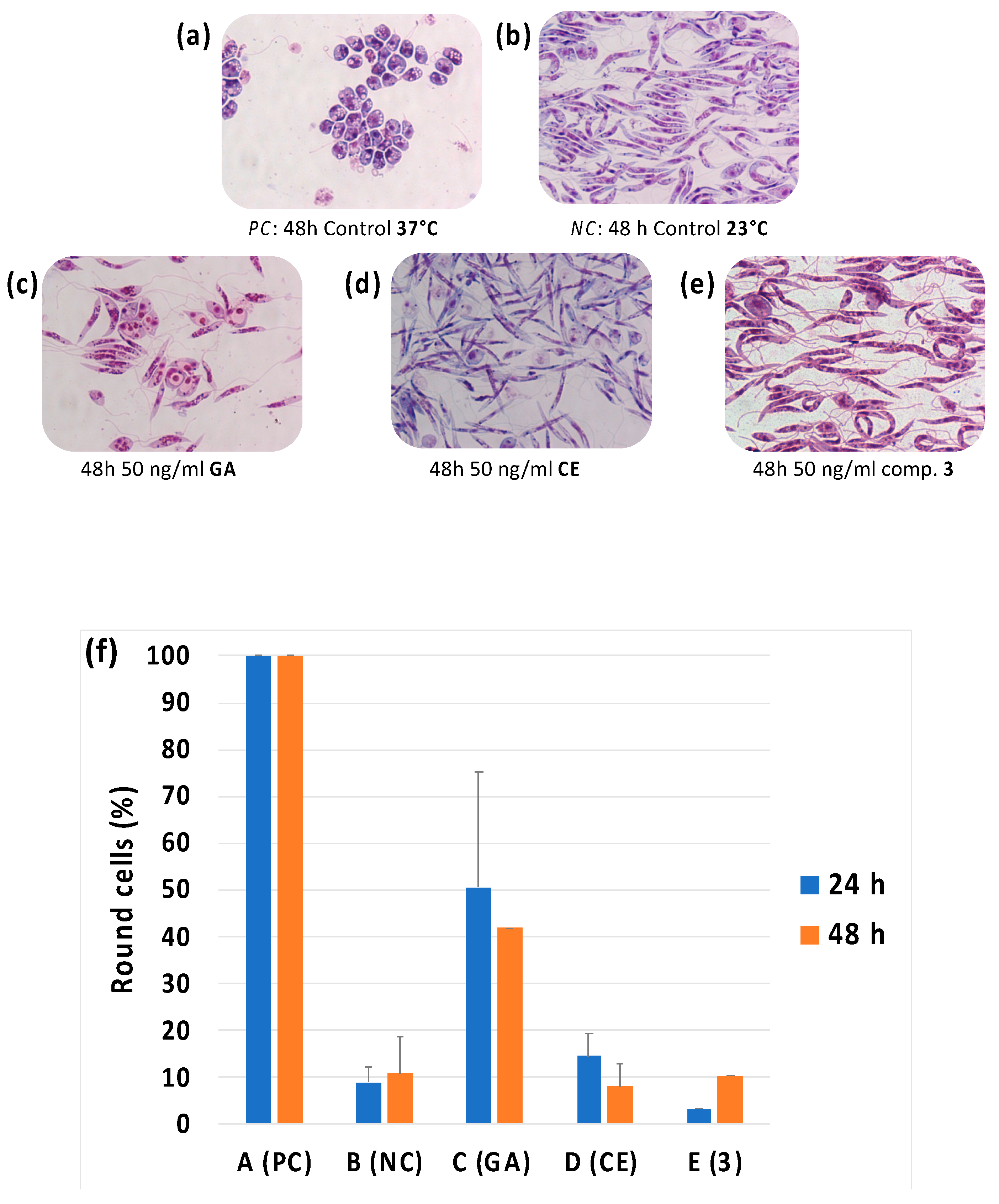 Biomolecules 11 00056 g006 Biomolecules 11 00056 g006