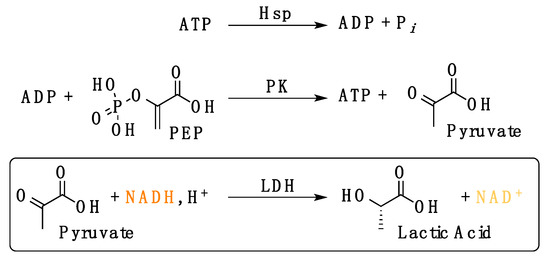 Biomolecules 11 00056 g0a1