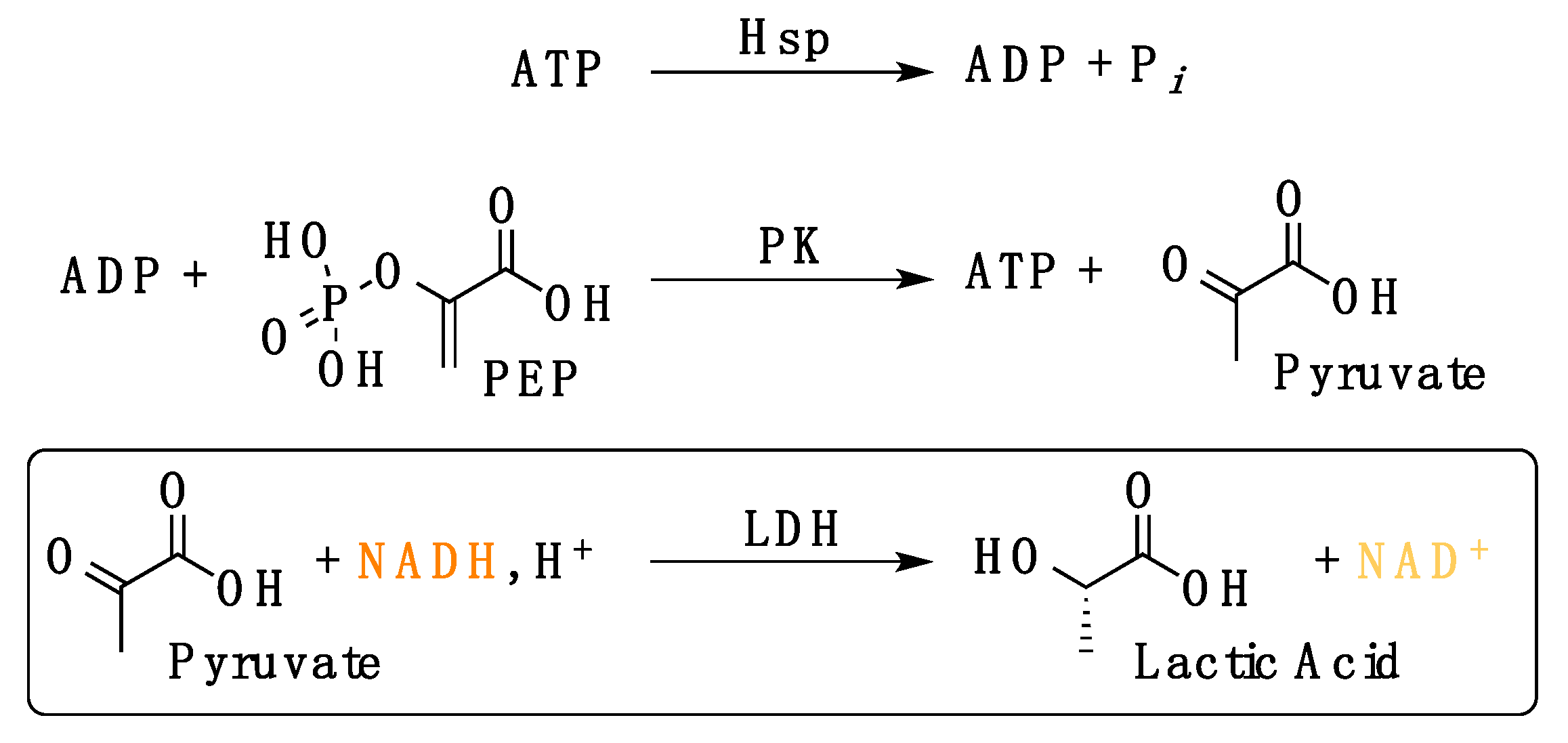 Biomolecules 11 00056 g0a1 Biomolecules 11 00056 g0a1