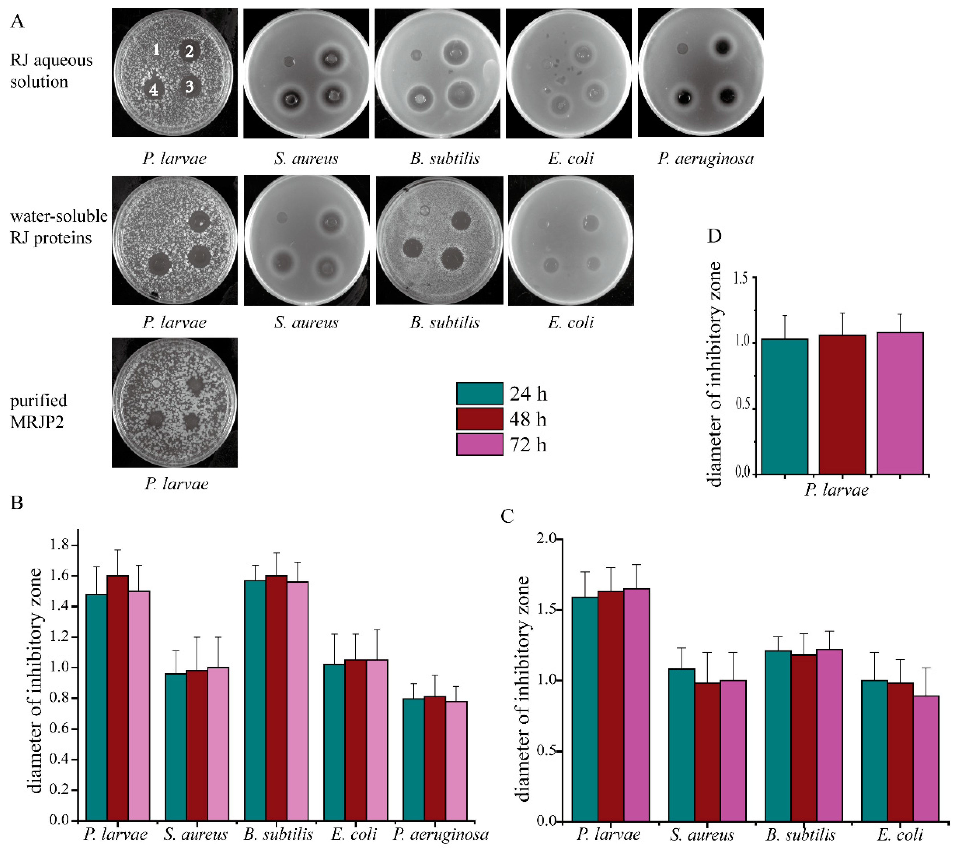 Biomolecules 11 00064 g001 Biomolecules 11 00064 g001