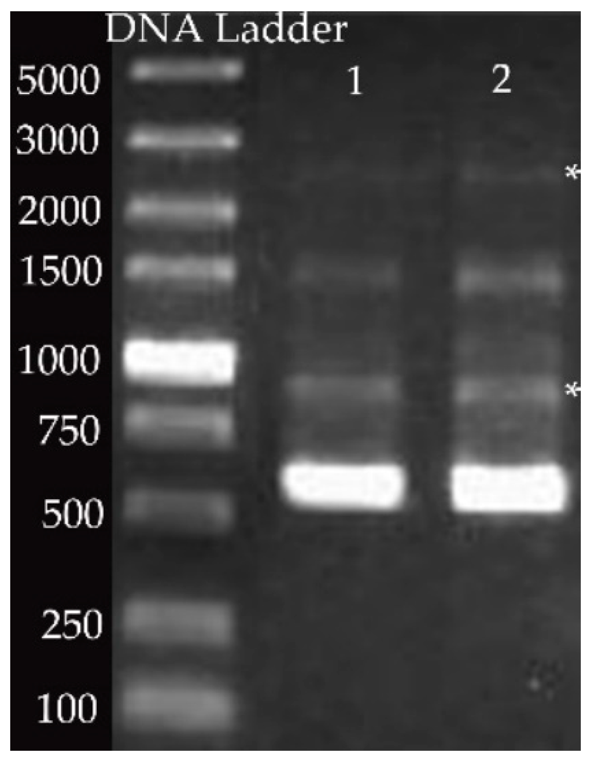 Biomolecules 11 00064 g002 Biomolecules 11 00064 g002