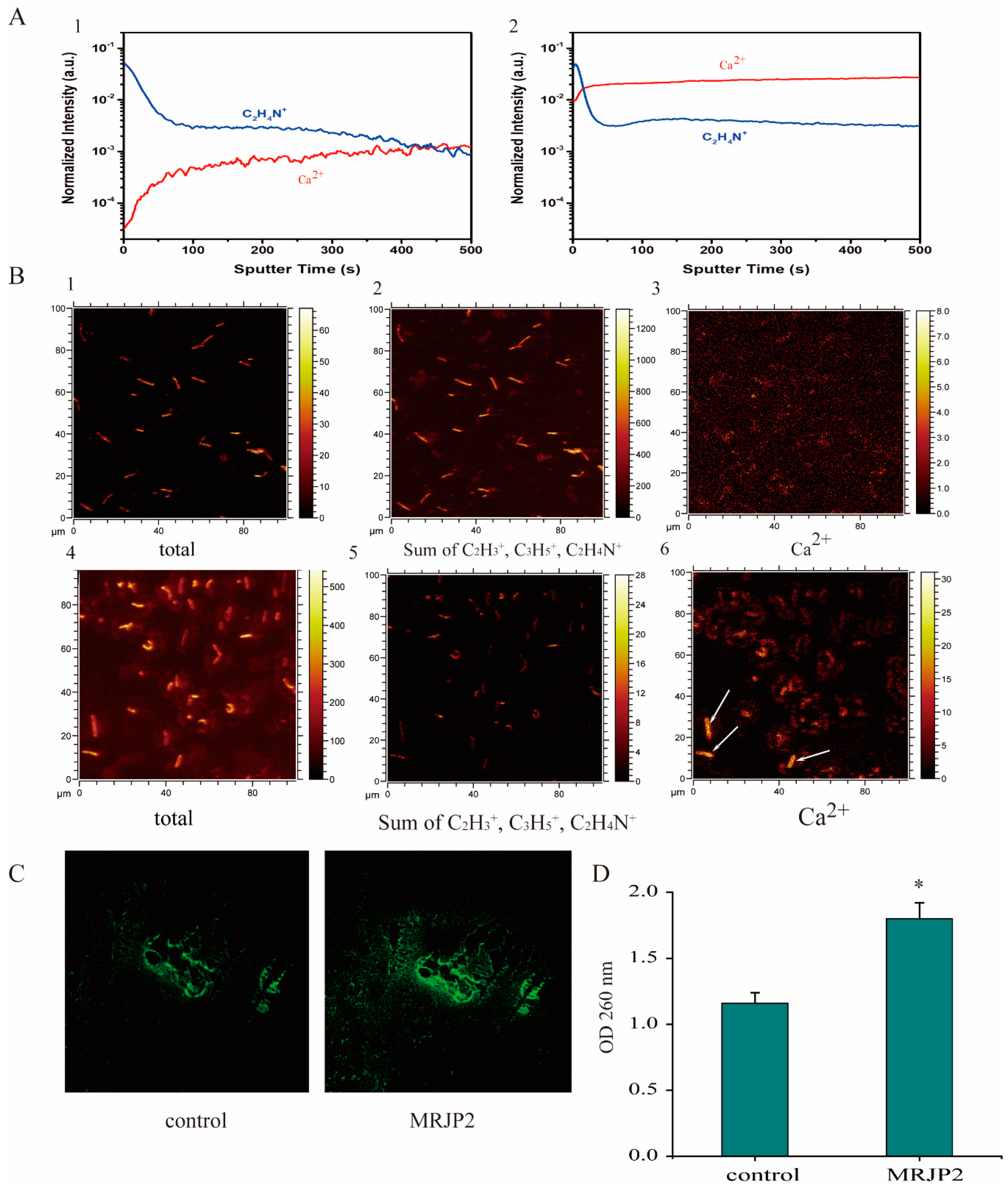 Biomolecules 11 00064 g003 Biomolecules 11 00064 g003