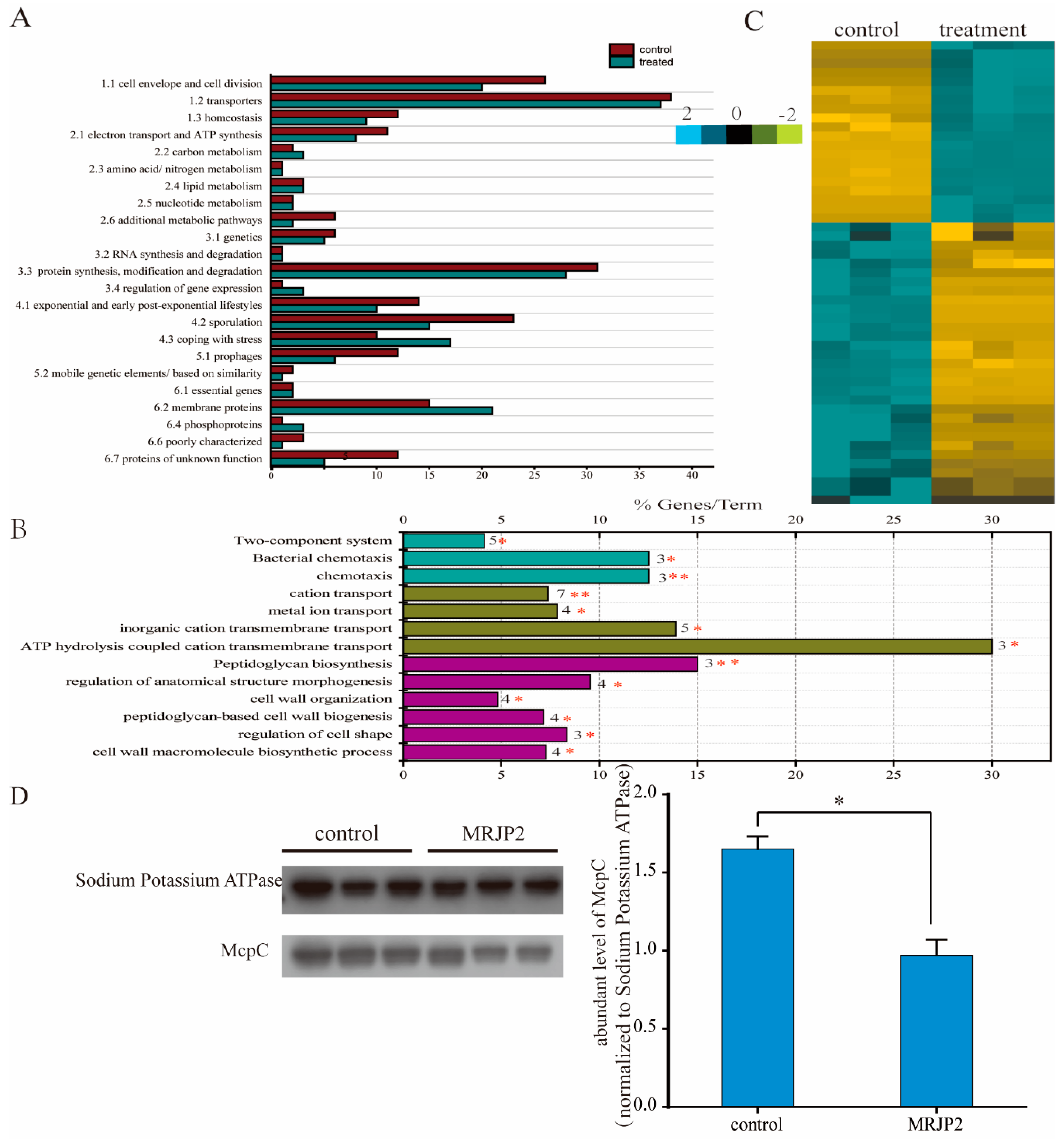 Biomolecules 11 00064 g004 Biomolecules 11 00064 g004