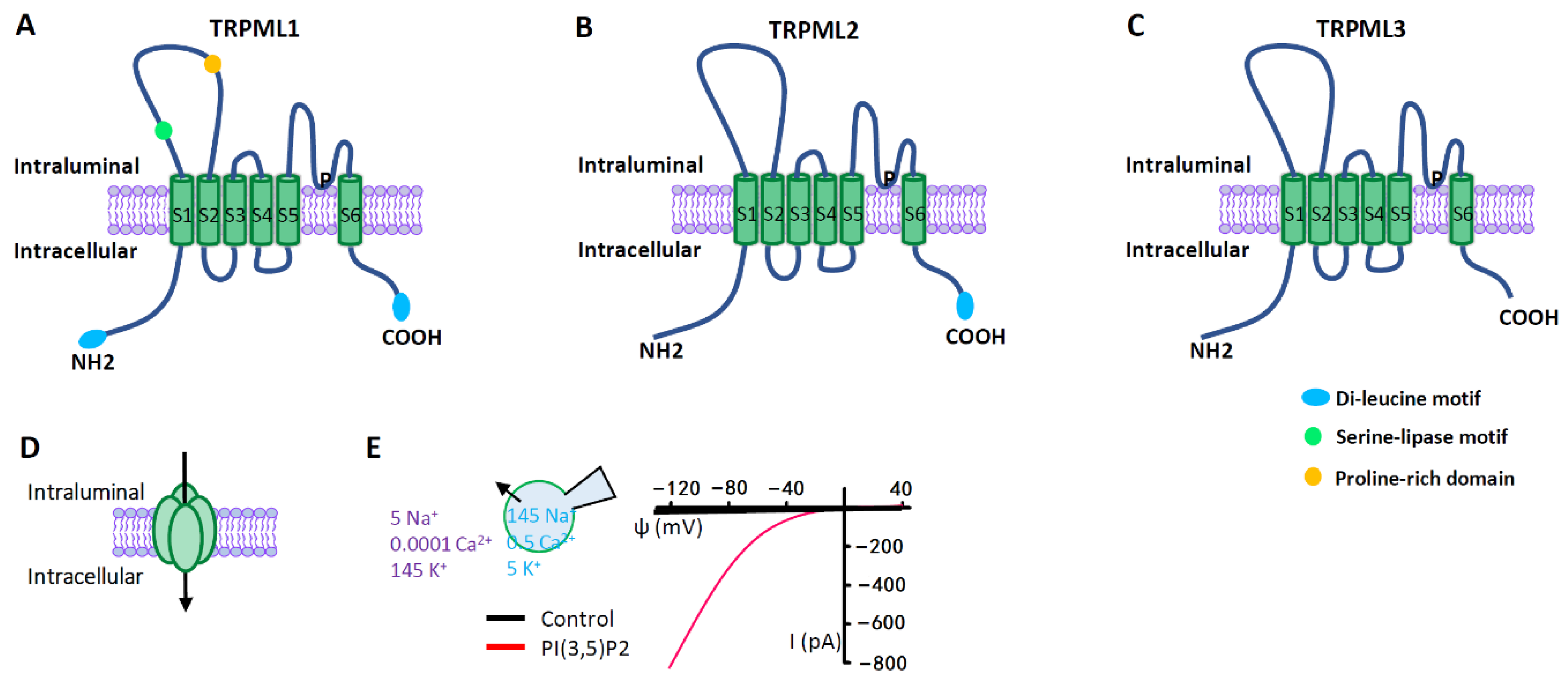 Biomolecules 11 00065 g003