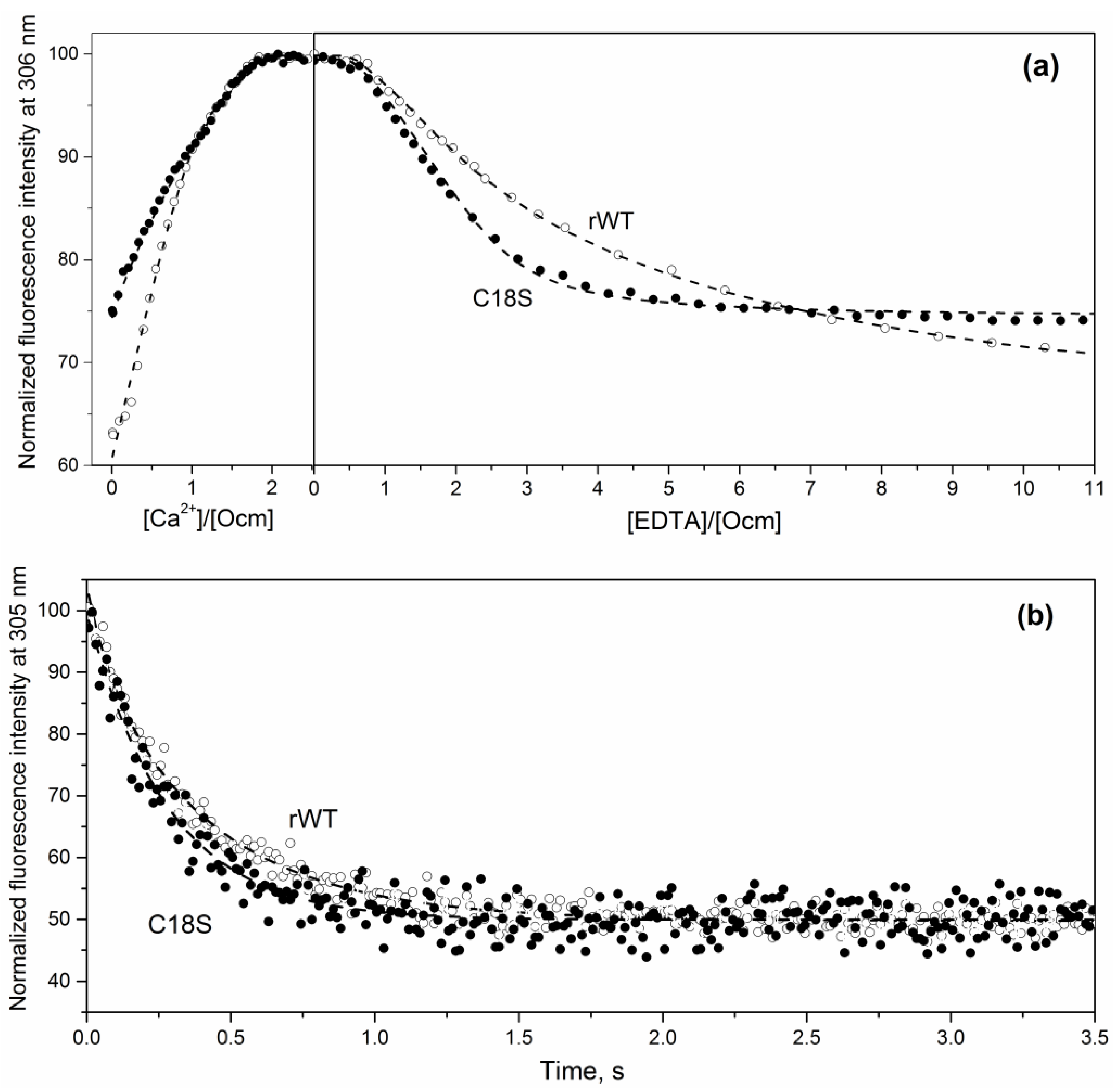 Biomolecules 11 00066 g004 Biomolecules 11 00066 g004
