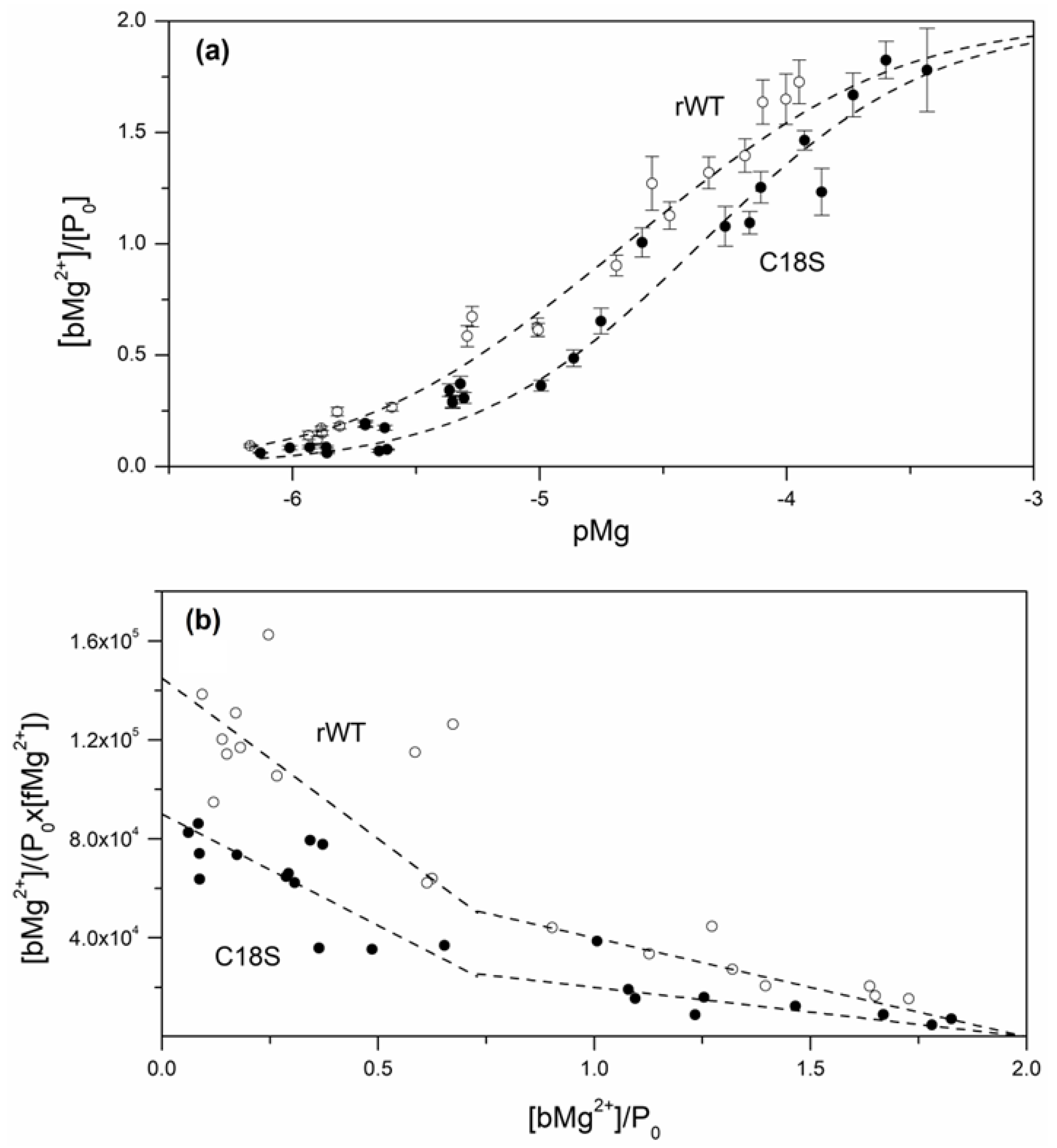 Biomolecules 11 00066 g005 Biomolecules 11 00066 g005