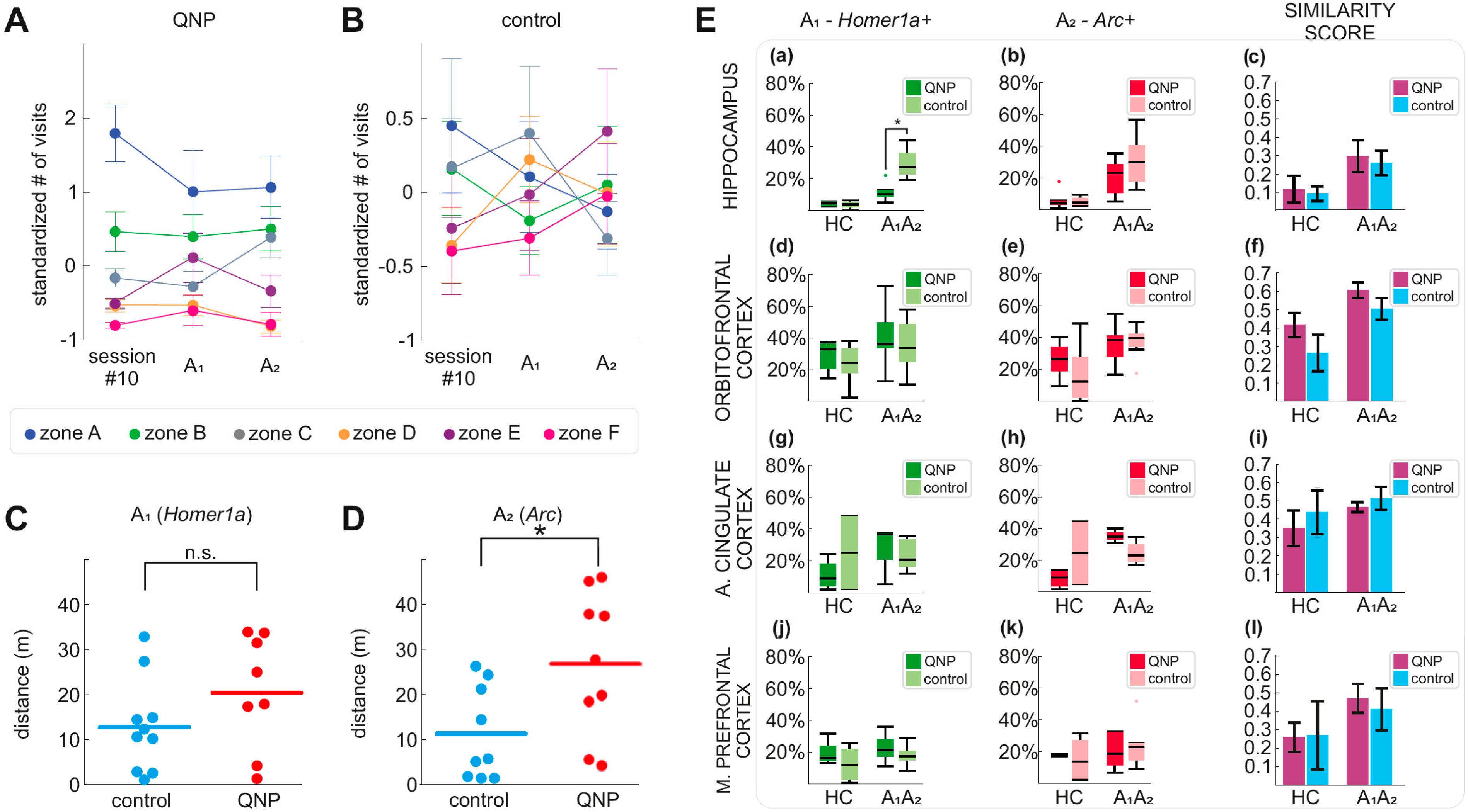 Biomolecules 11 00084 g002