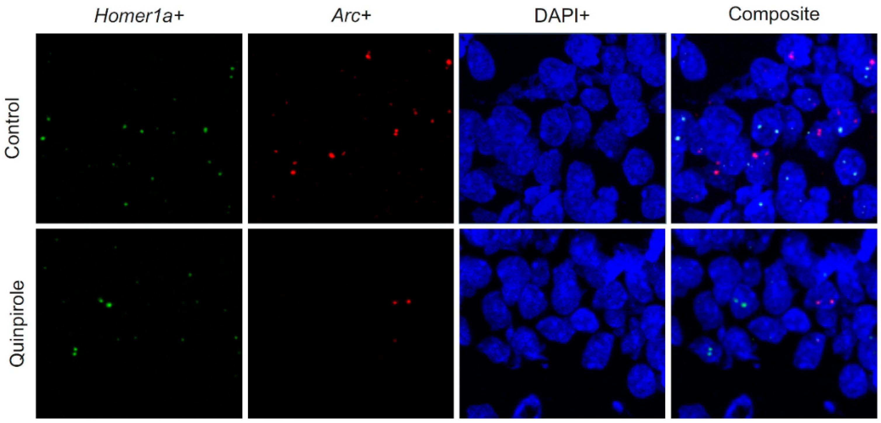 Biomolecules 11 00084 g003