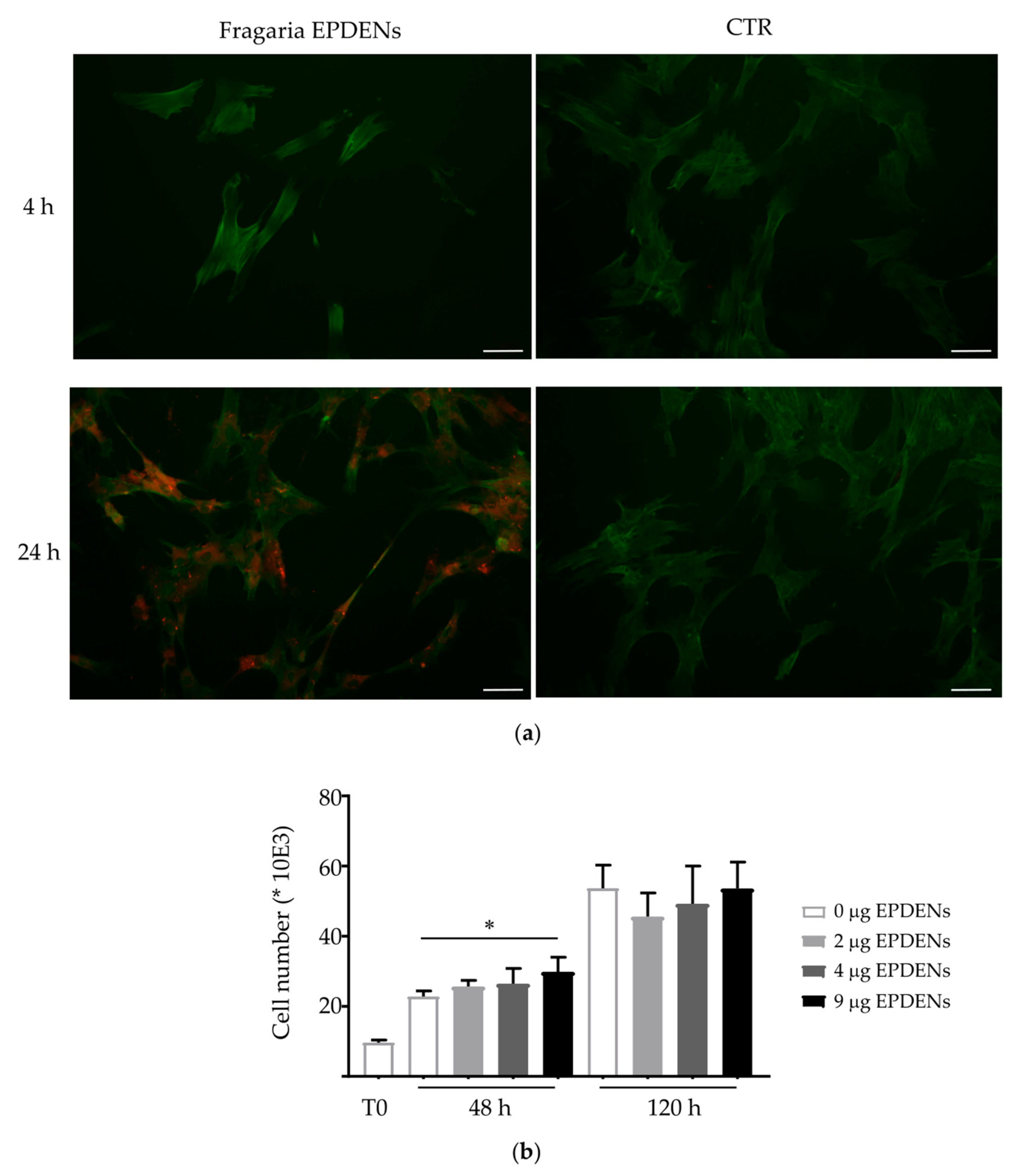 Biomolecules 11 00087 g002 Biomolecules 11 00087 g002