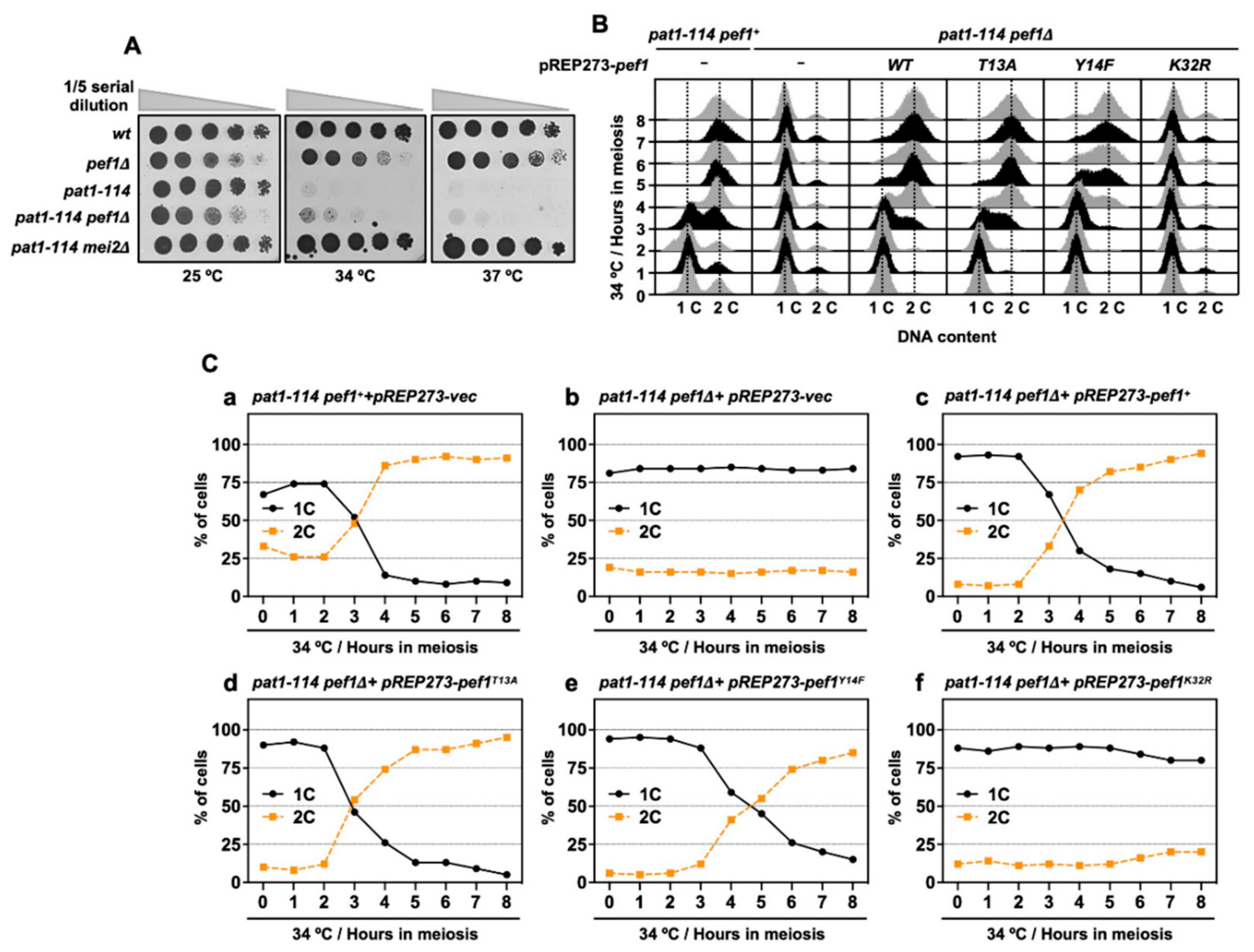 Biomolecules 11 00089 g003