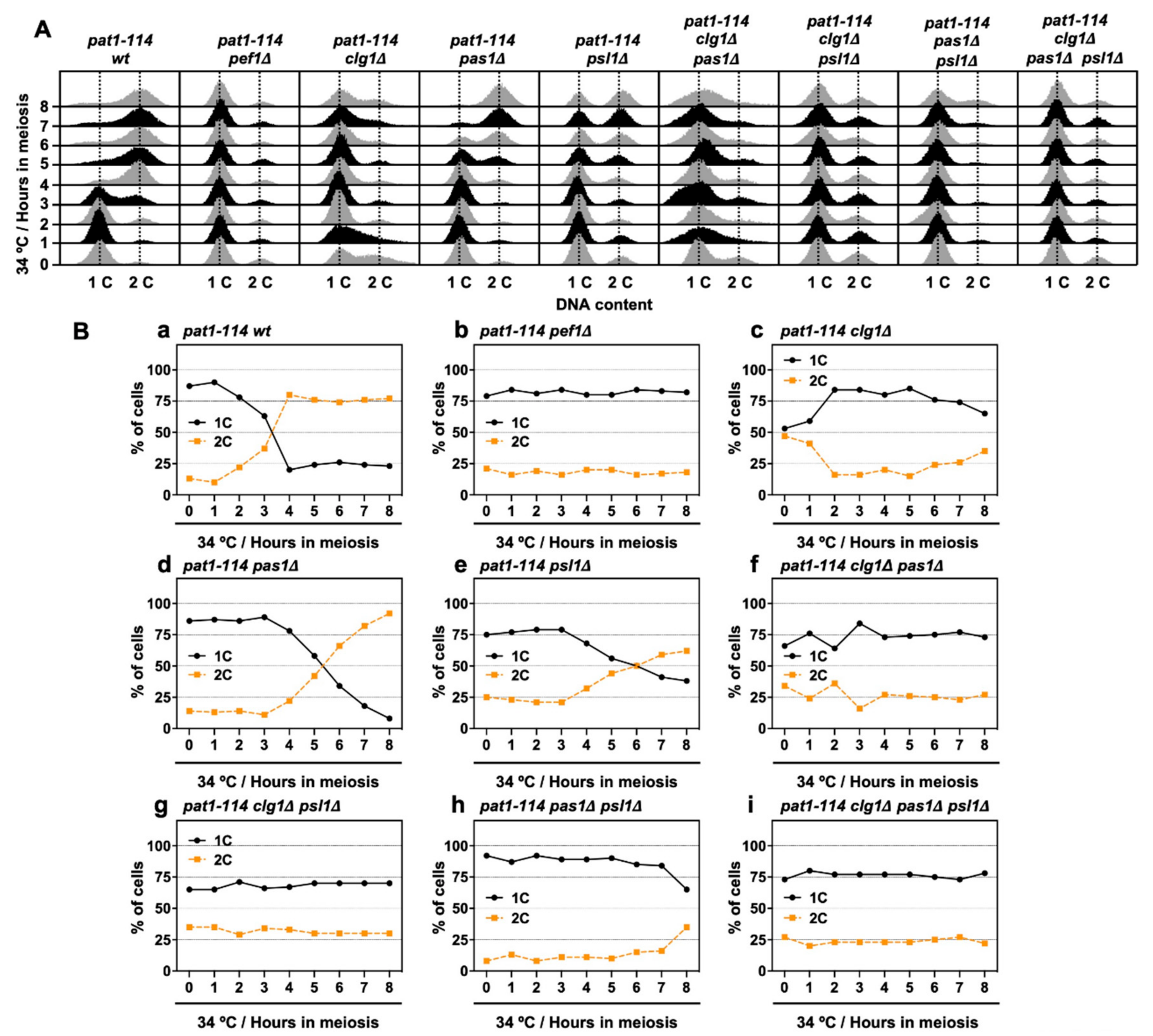 Biomolecules 11 00089 g006