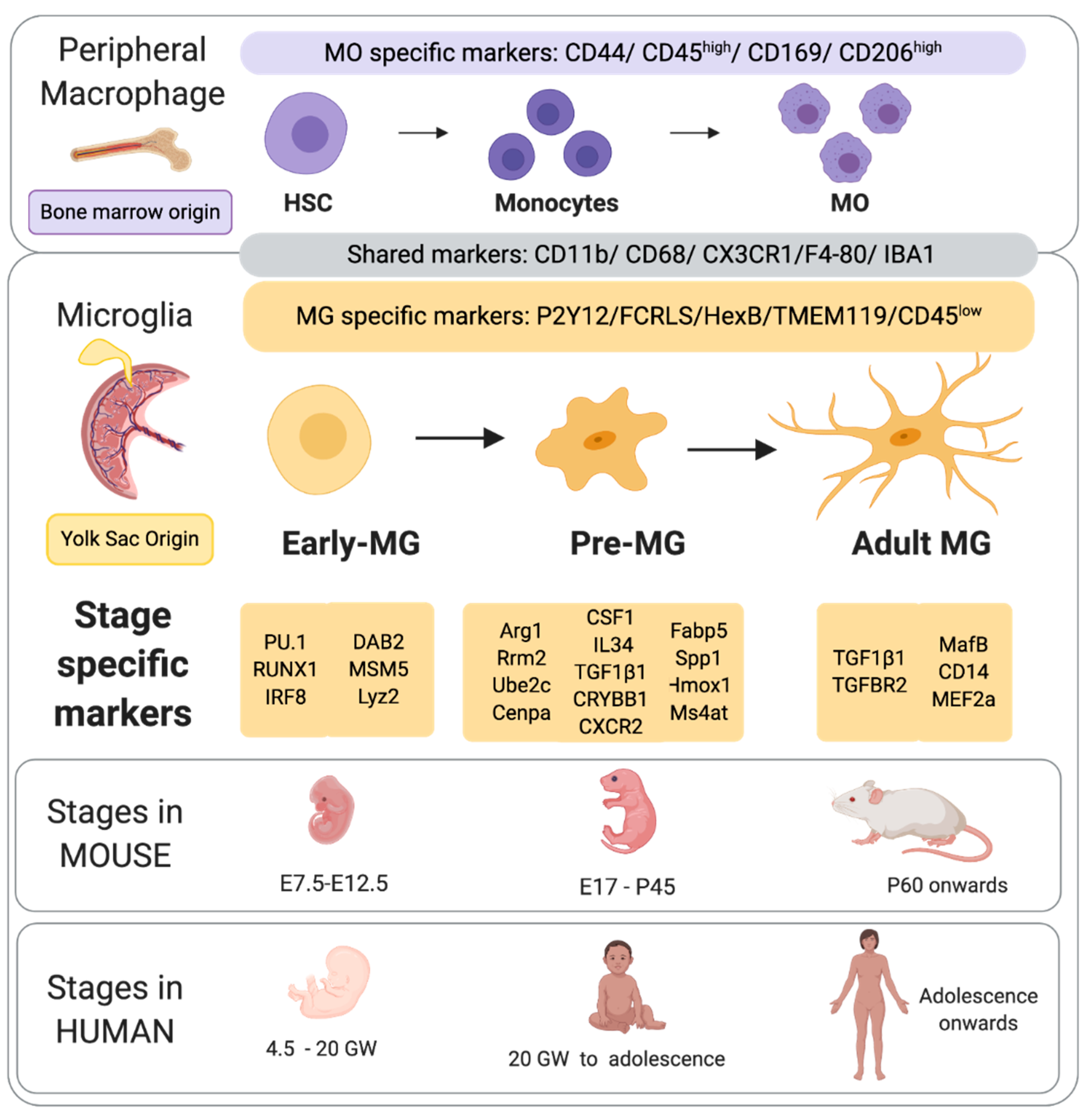 Biomolecules 11 00099 g001