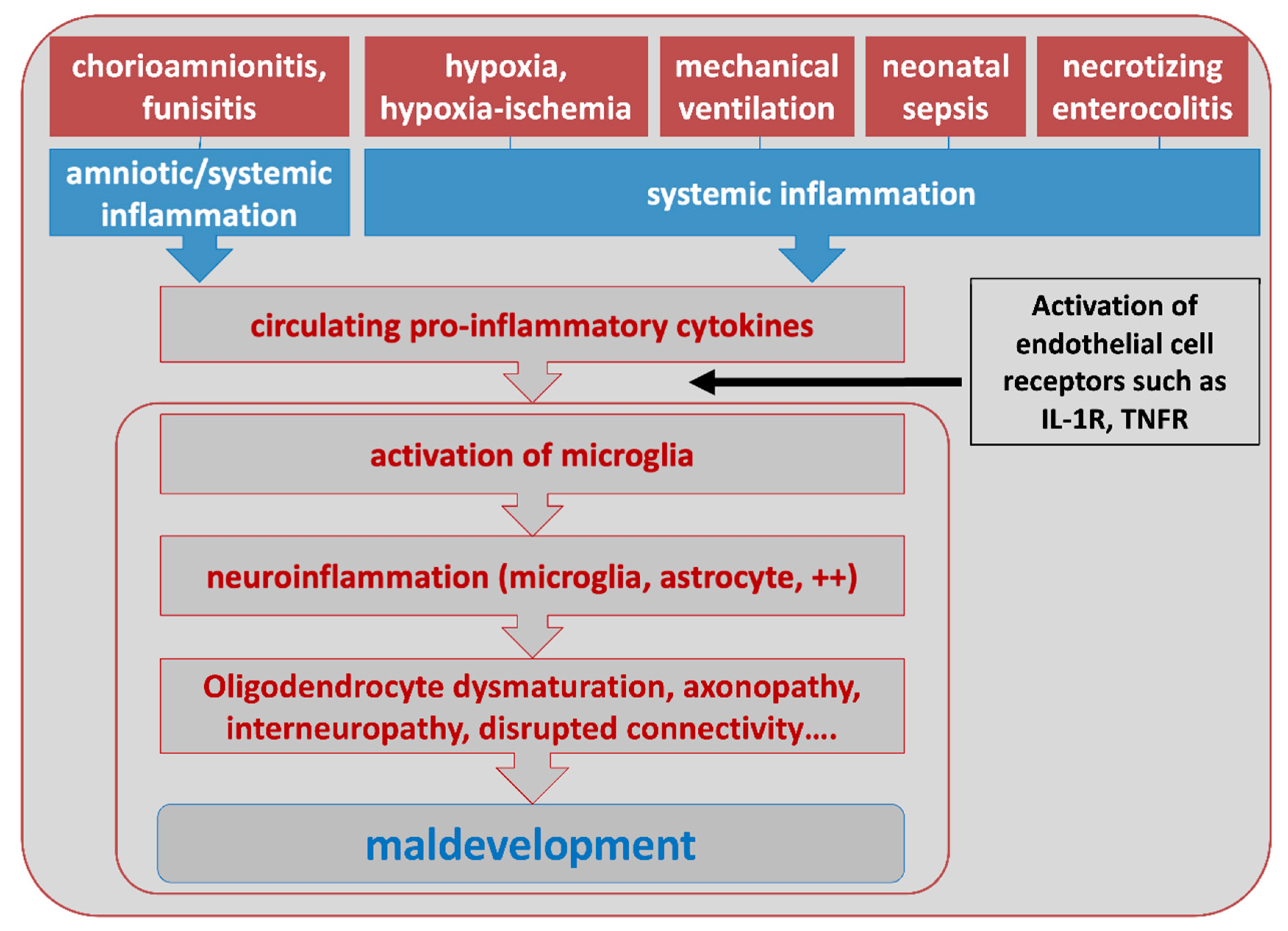 Biomolecules 11 00099 g002