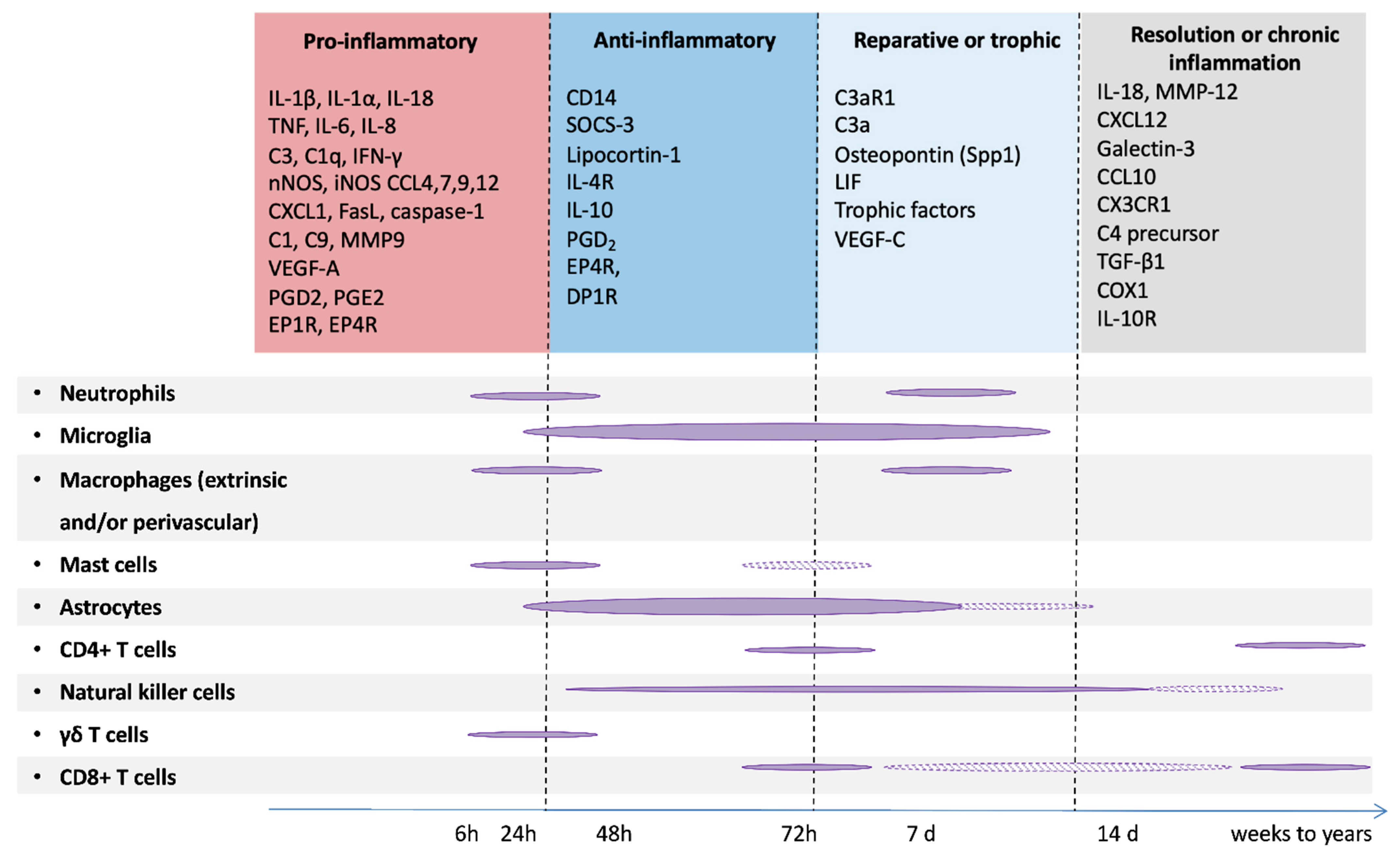 Biomolecules 11 00099 g004