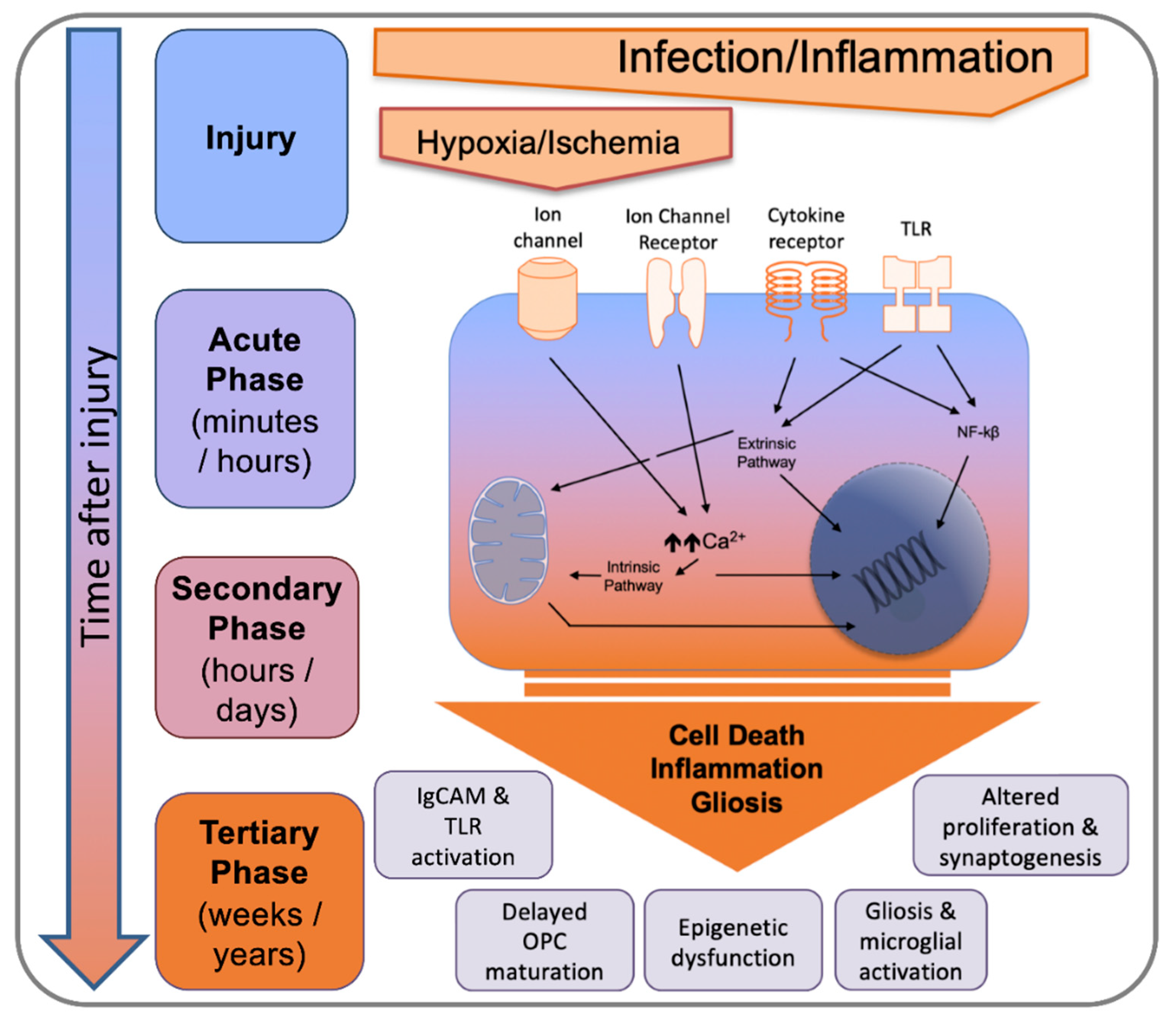 Biomolecules 11 00099 g005