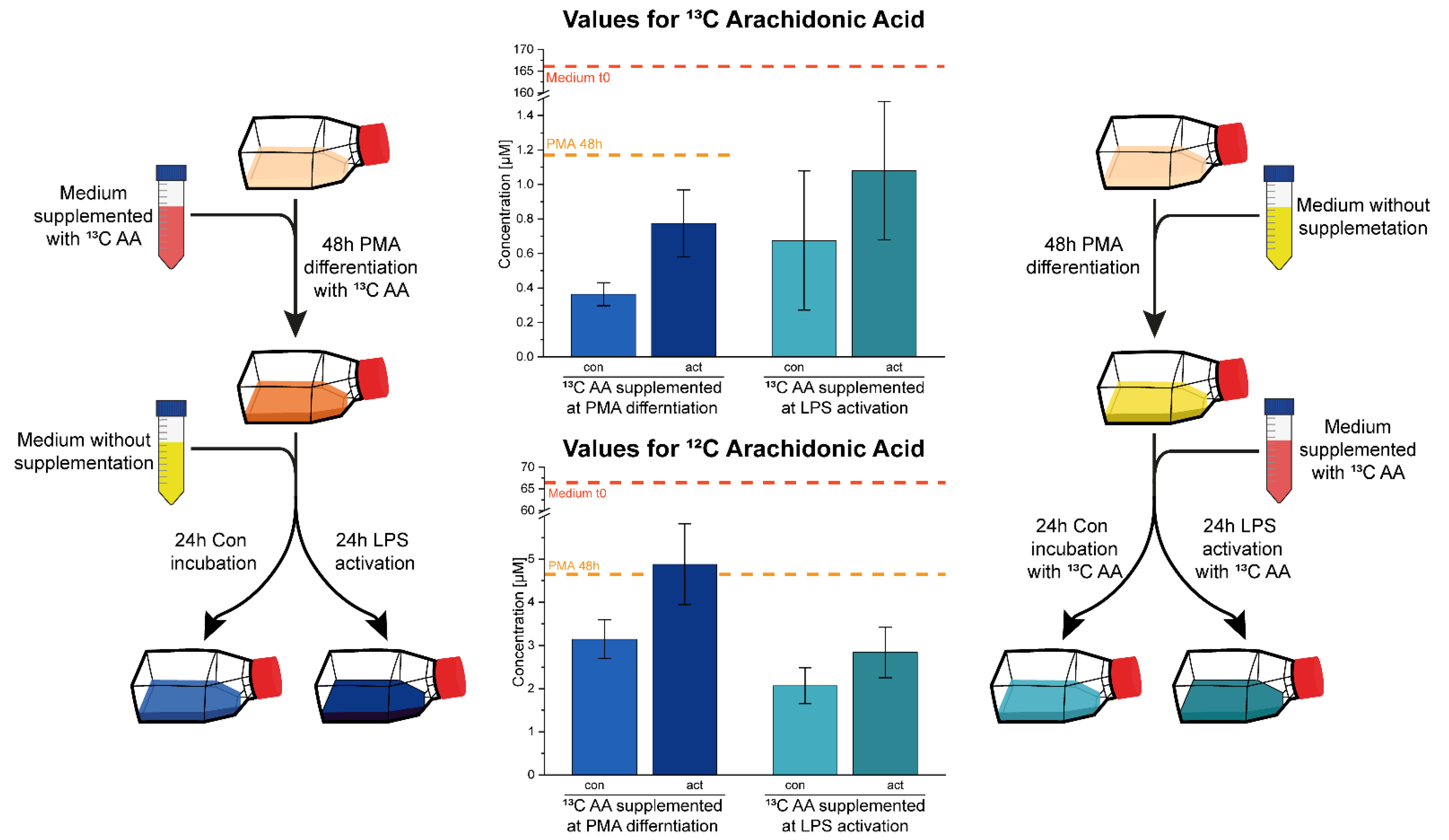 Biomolecules 11 00113 g003
