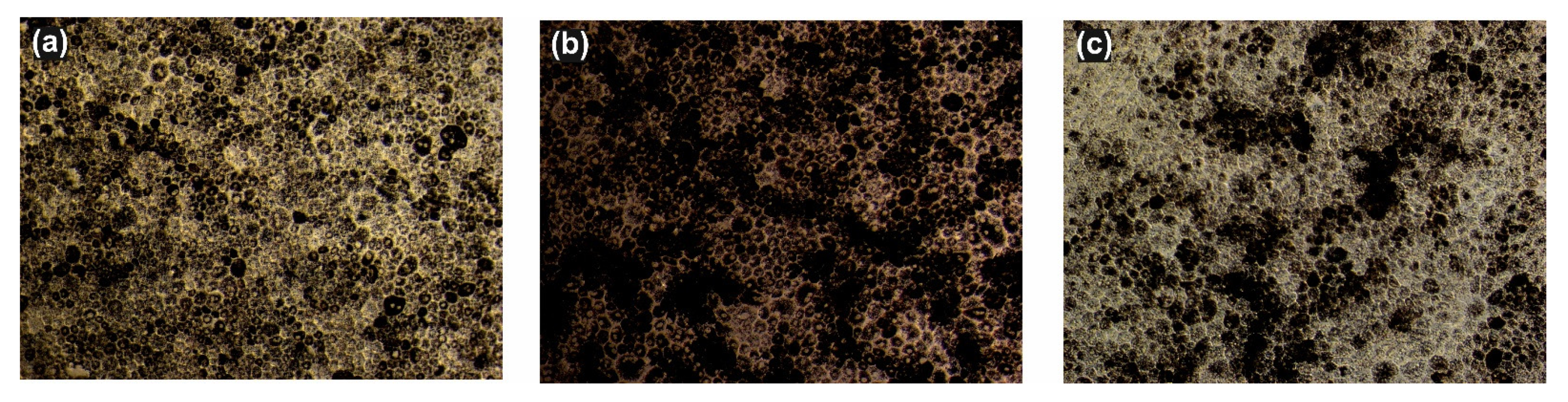 Biomolecules 11 00114 g001