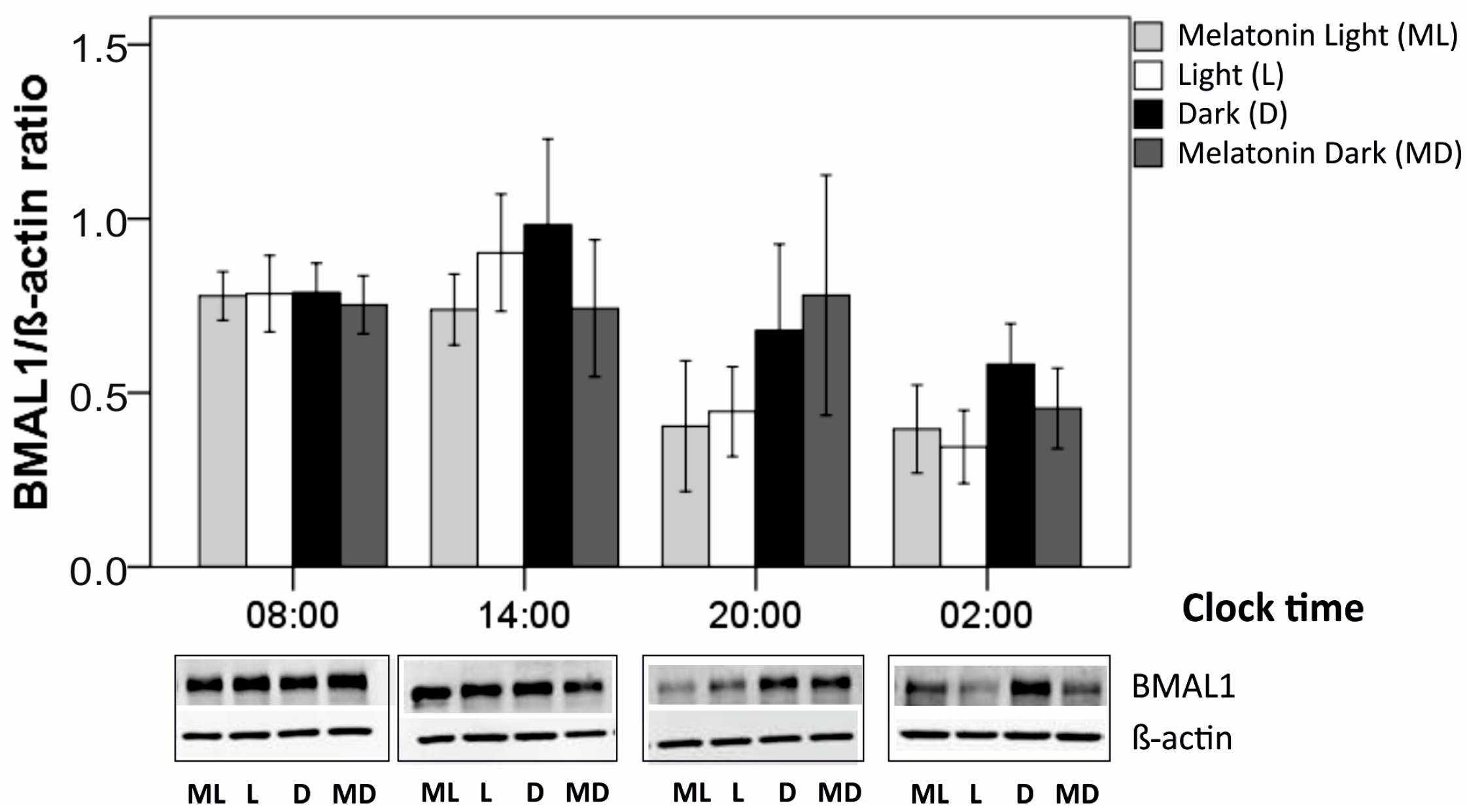 Biomolecules 11 00114 g005