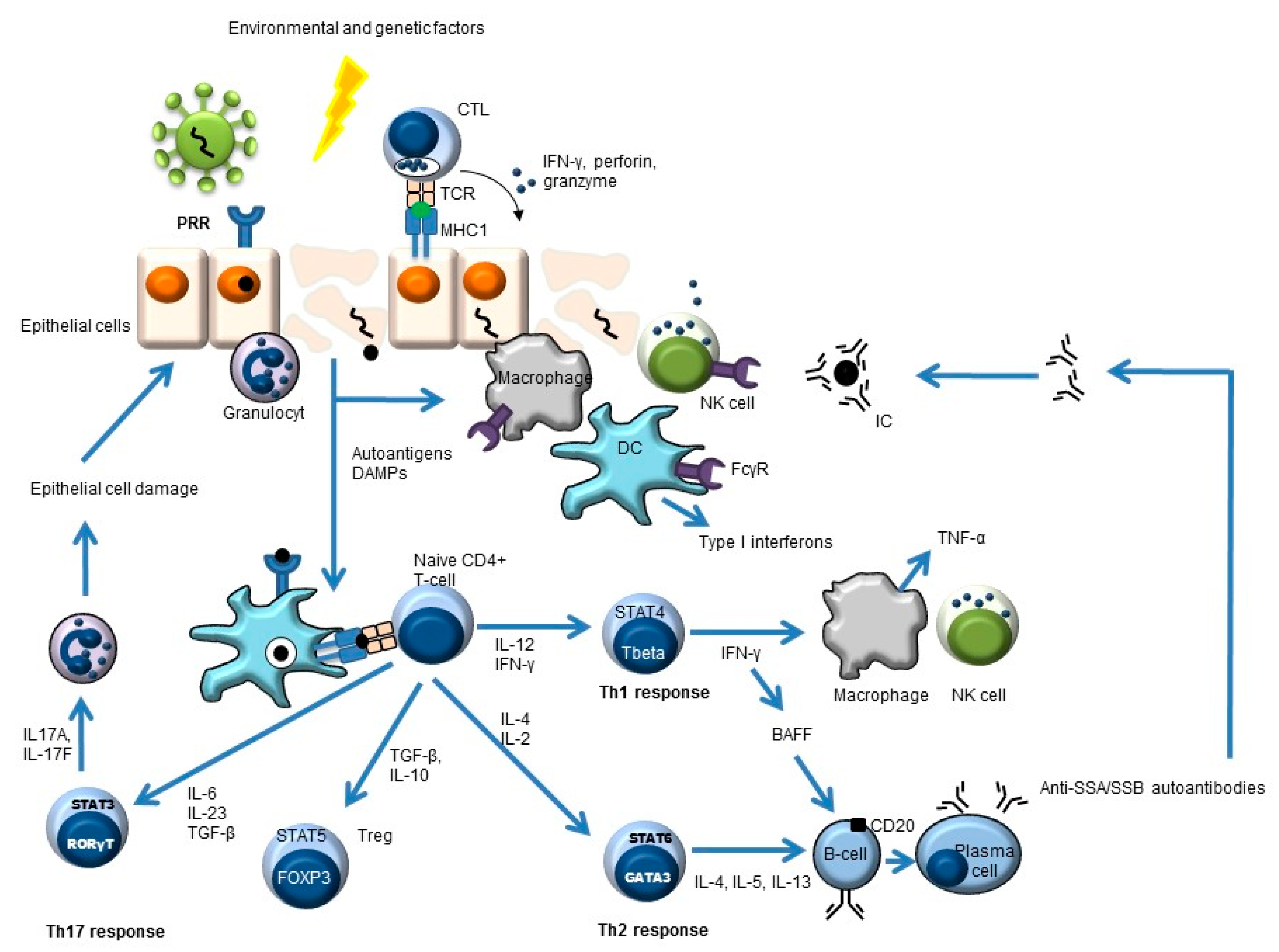 Biomolecules 11 00116 g001