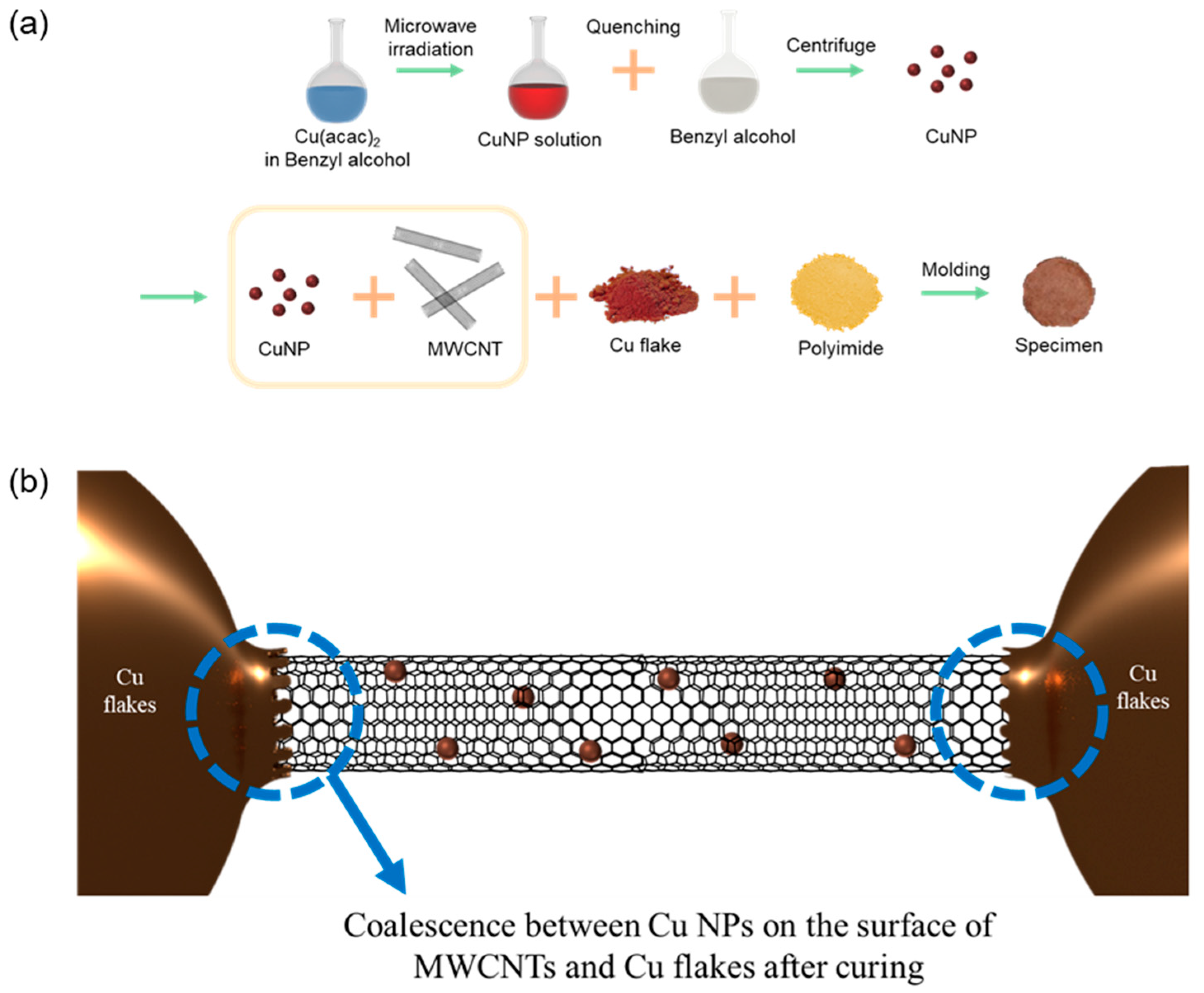 Biomolecules 11 00132 g001 Biomolecules 11 00132 g001